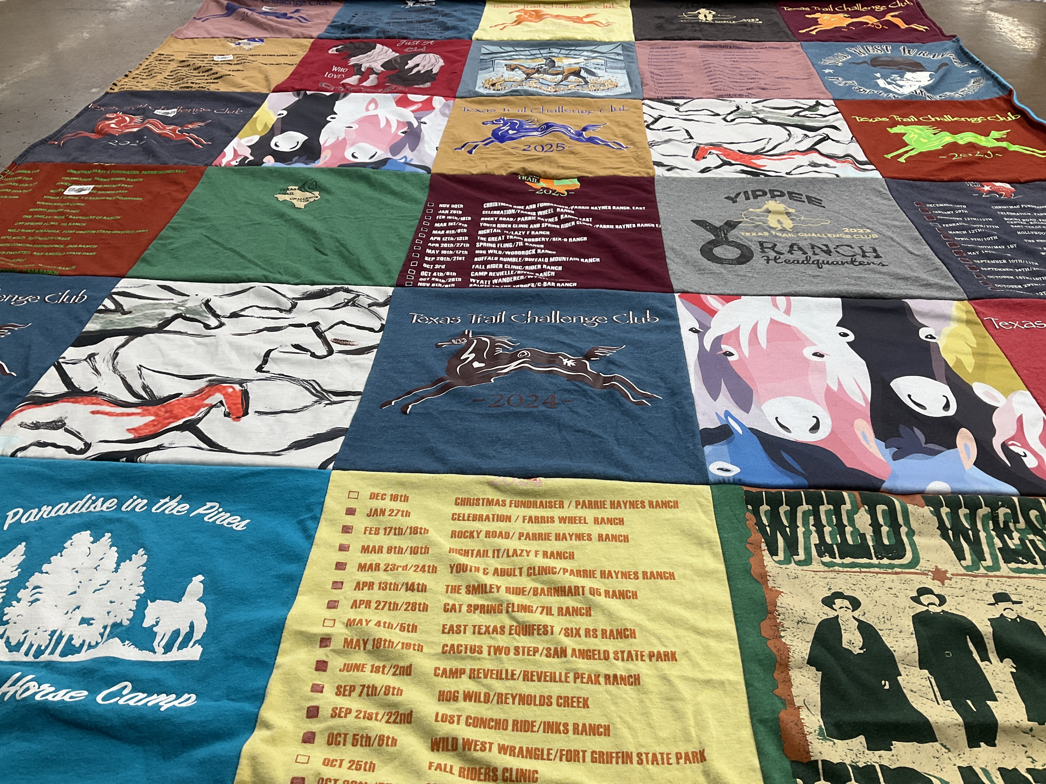 T-shirt quilt with horses, camping themes by Teresa from TX