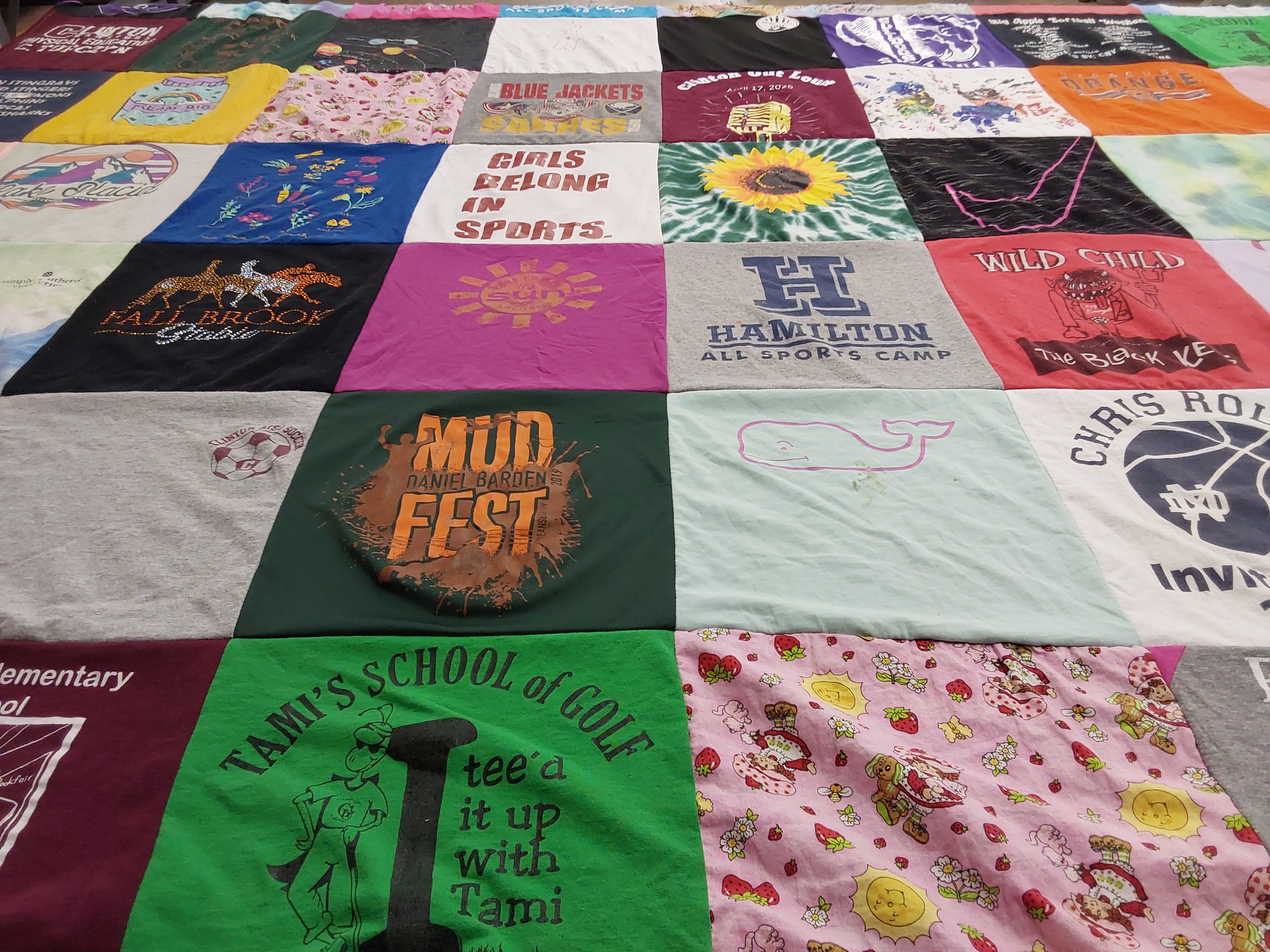 T-shirt quilt from hamilton all sports camp, chris roll elementary school by Brandi from NY
