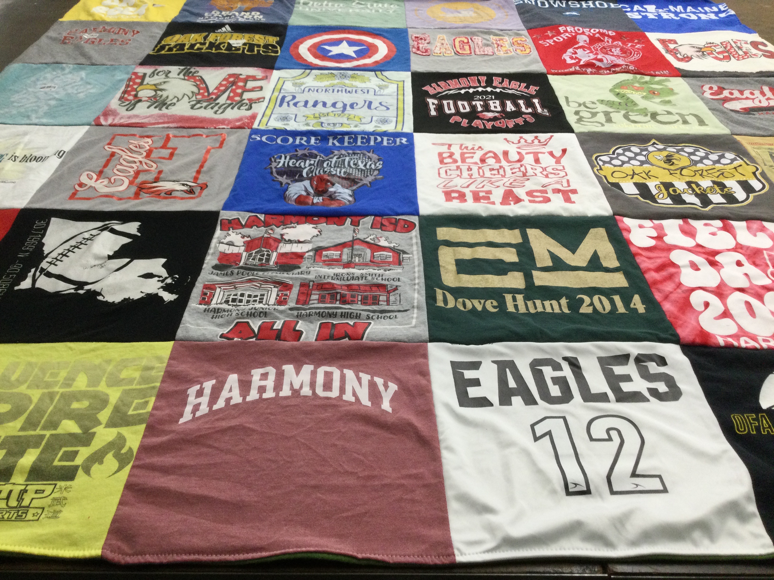 T-shirt quilt featuring eagles by Katherine from MS