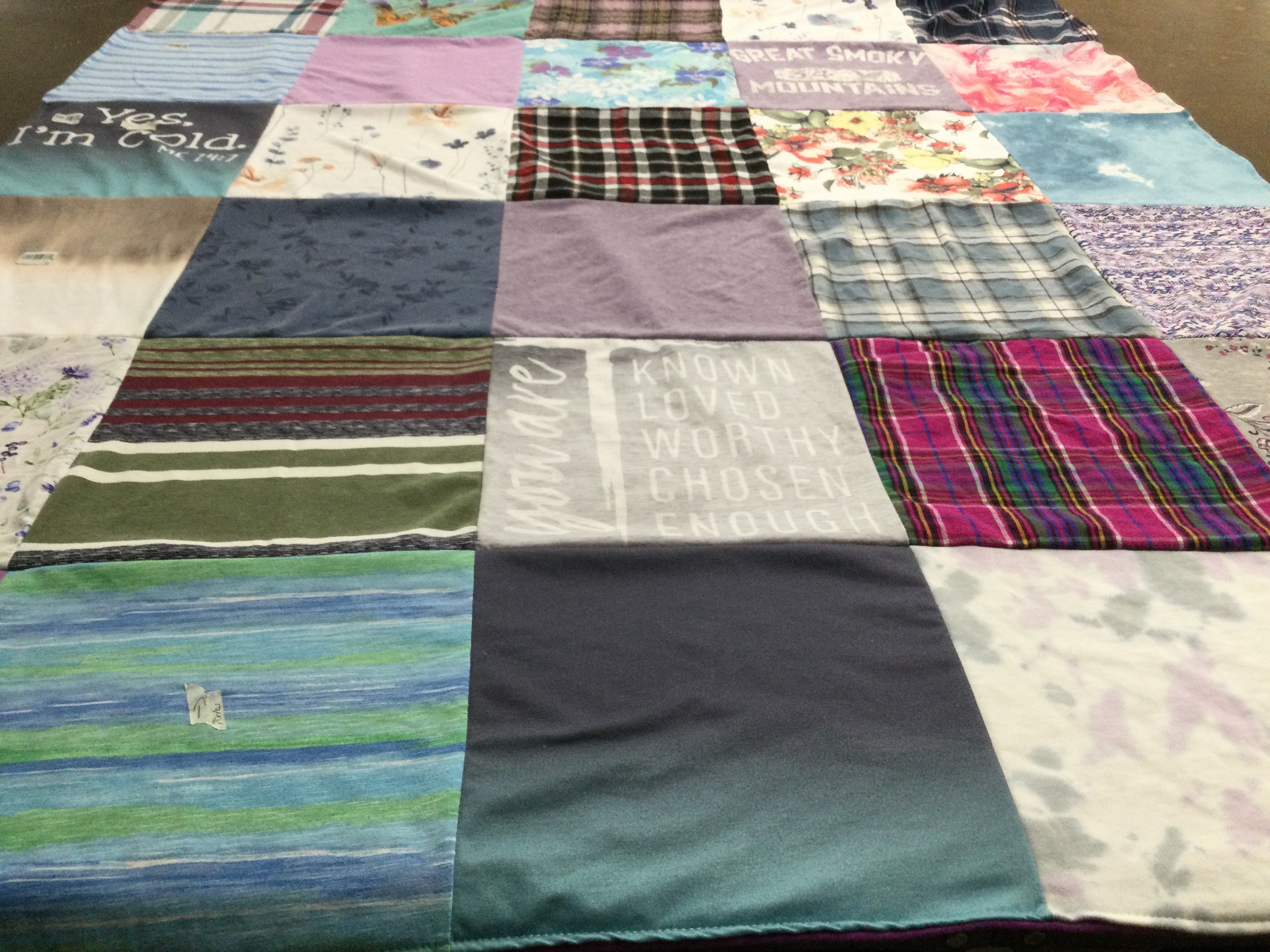 T-shirt quilt with nature, travel themes by Debra from AL