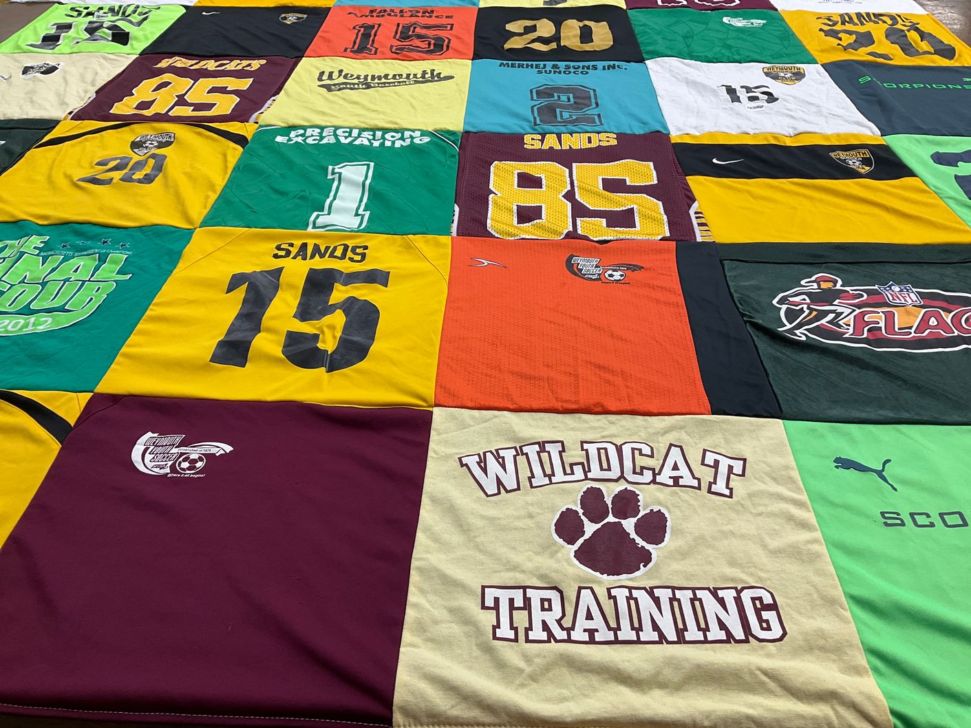 T-shirt quilt featuring wildcat training by Natalie from MA