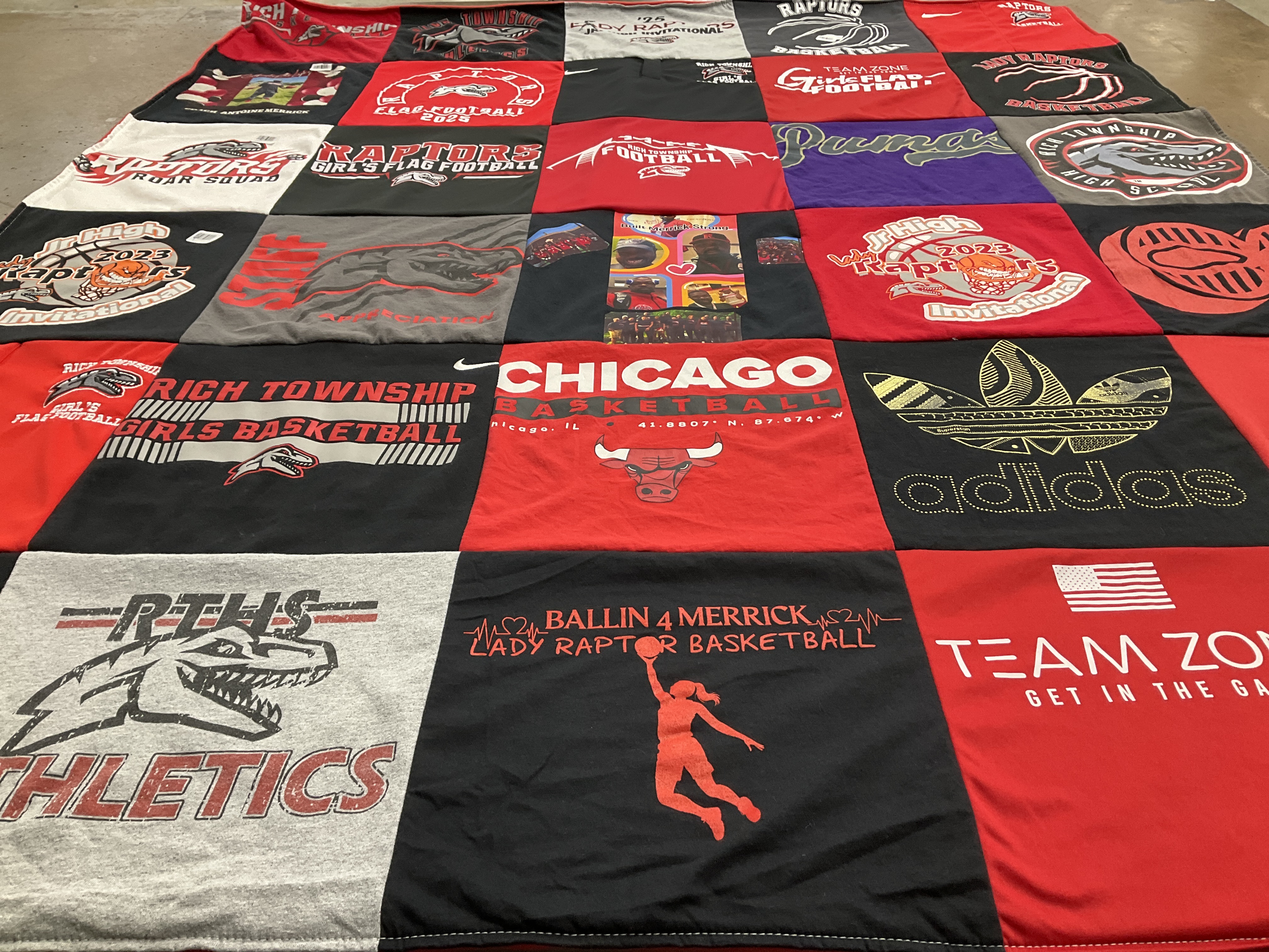 T-shirt quilt featuring raptors, lady raptors by tammy from IL