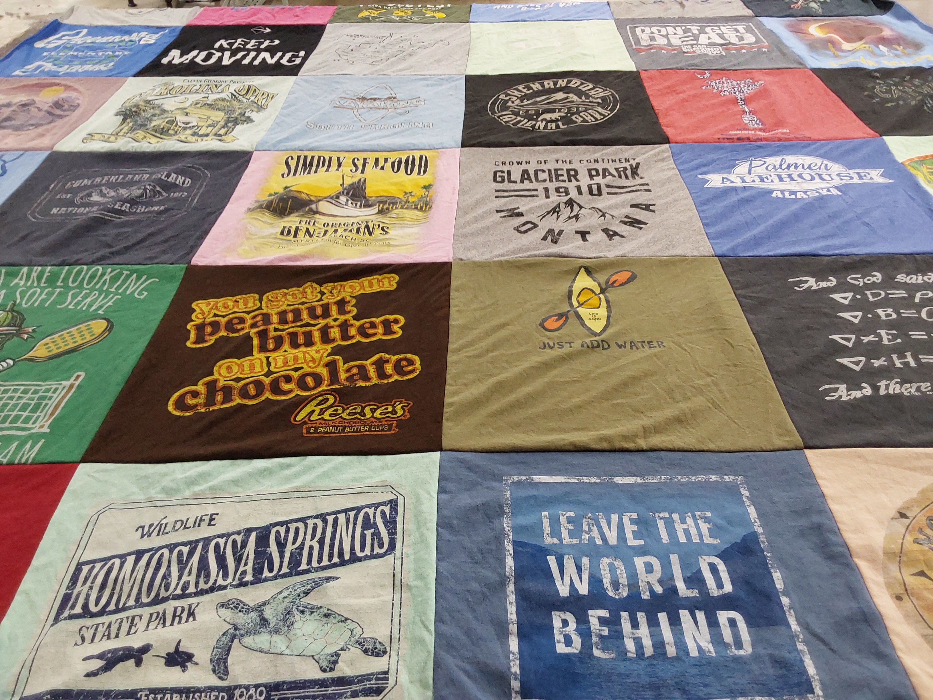 T-shirt quilt with outdoor, food themes by Cathy from SC