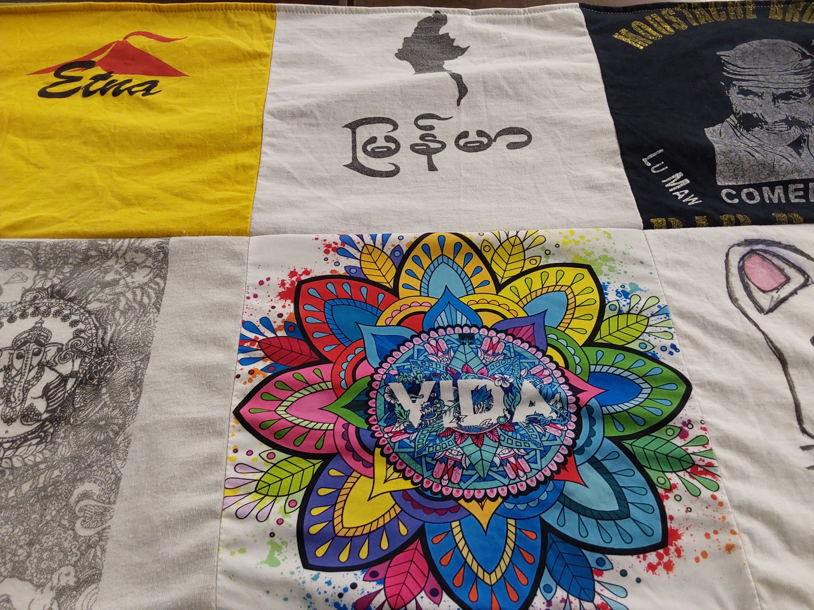 T-shirt quilt with art, culture themes by Janet from IL