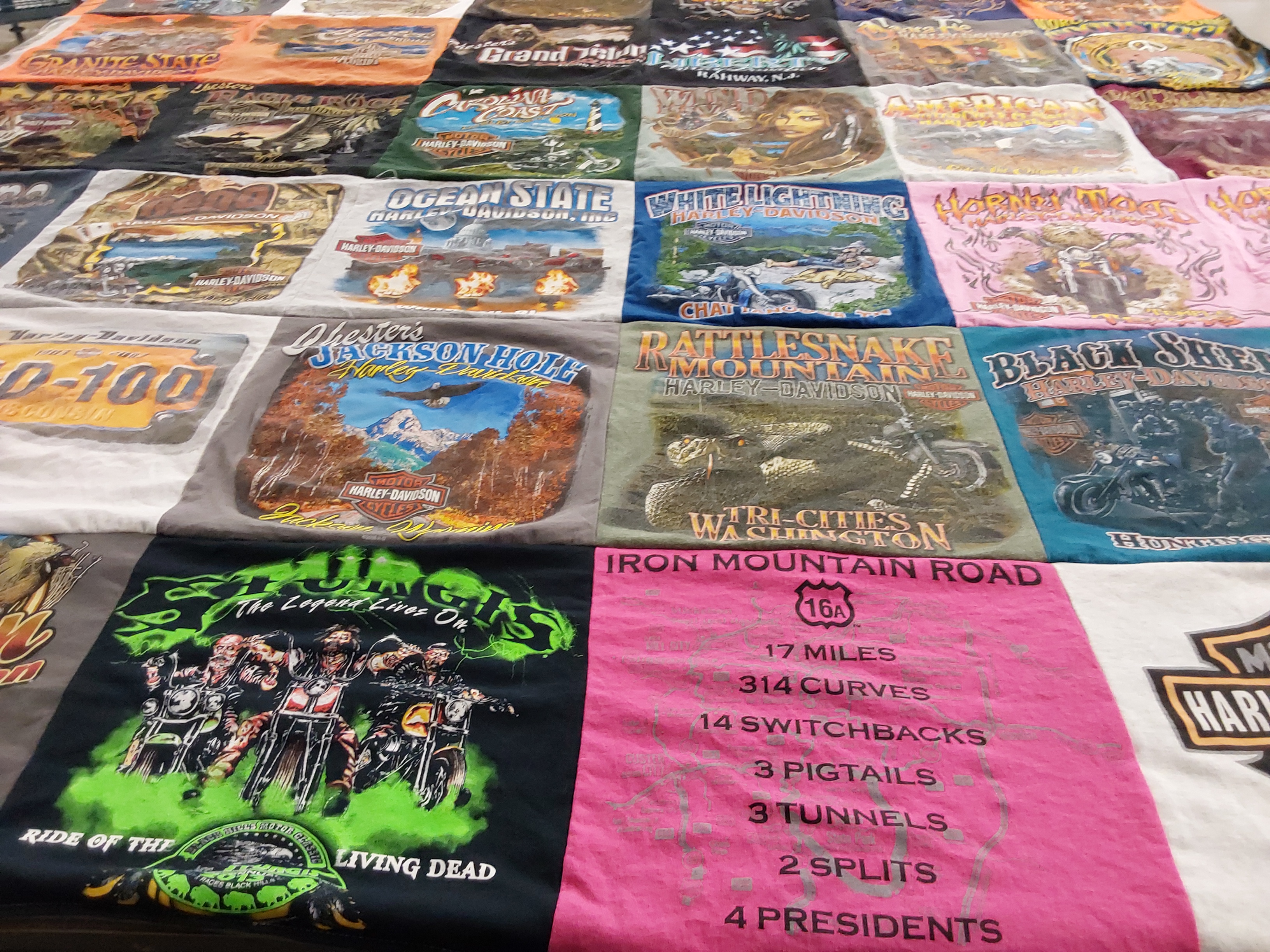 T-shirt quilt with motorcycles, biking themes by Nancy from SD