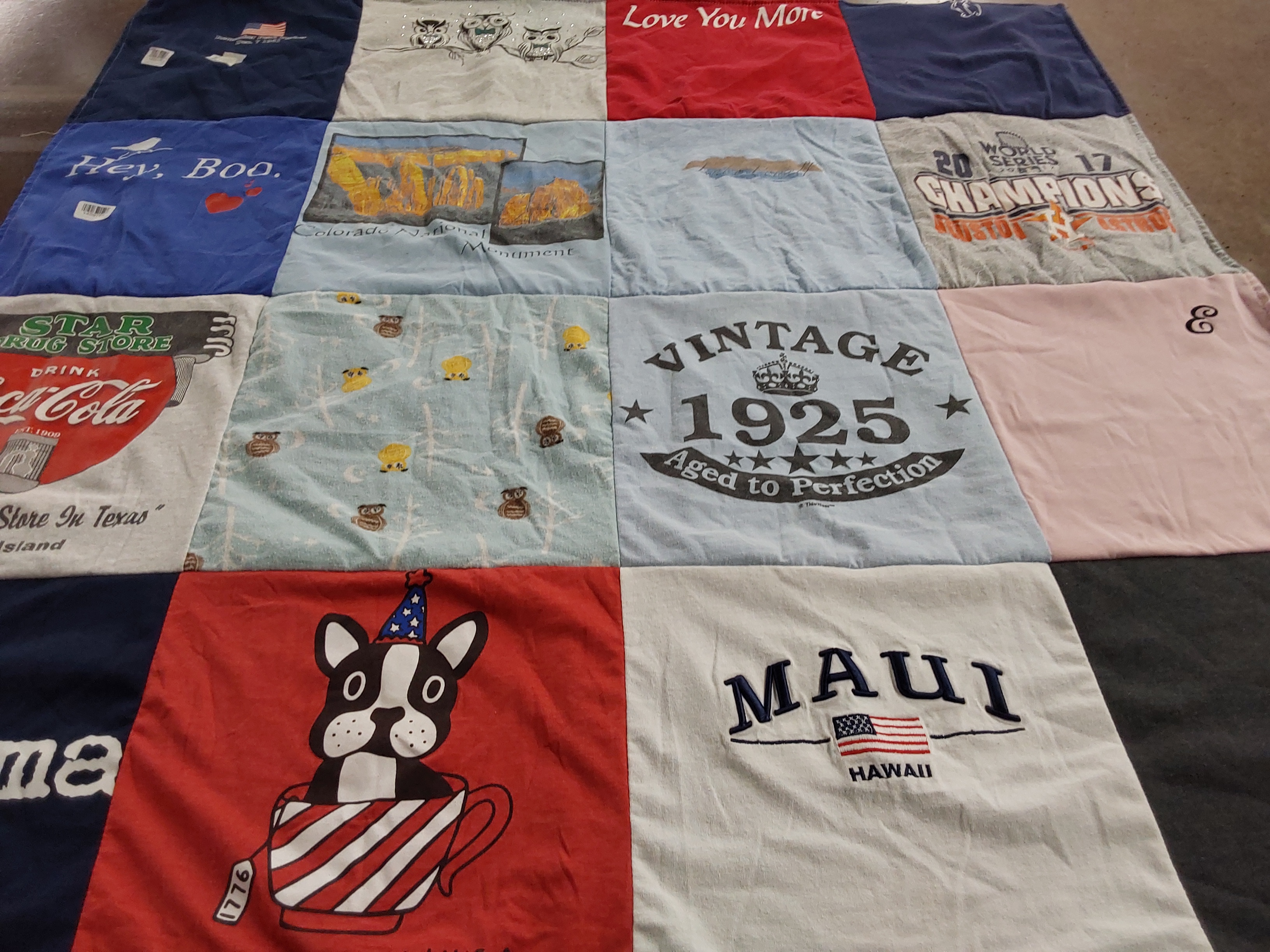 Custom Project Repat t-shirt quilt highlighting travel, animals themes.