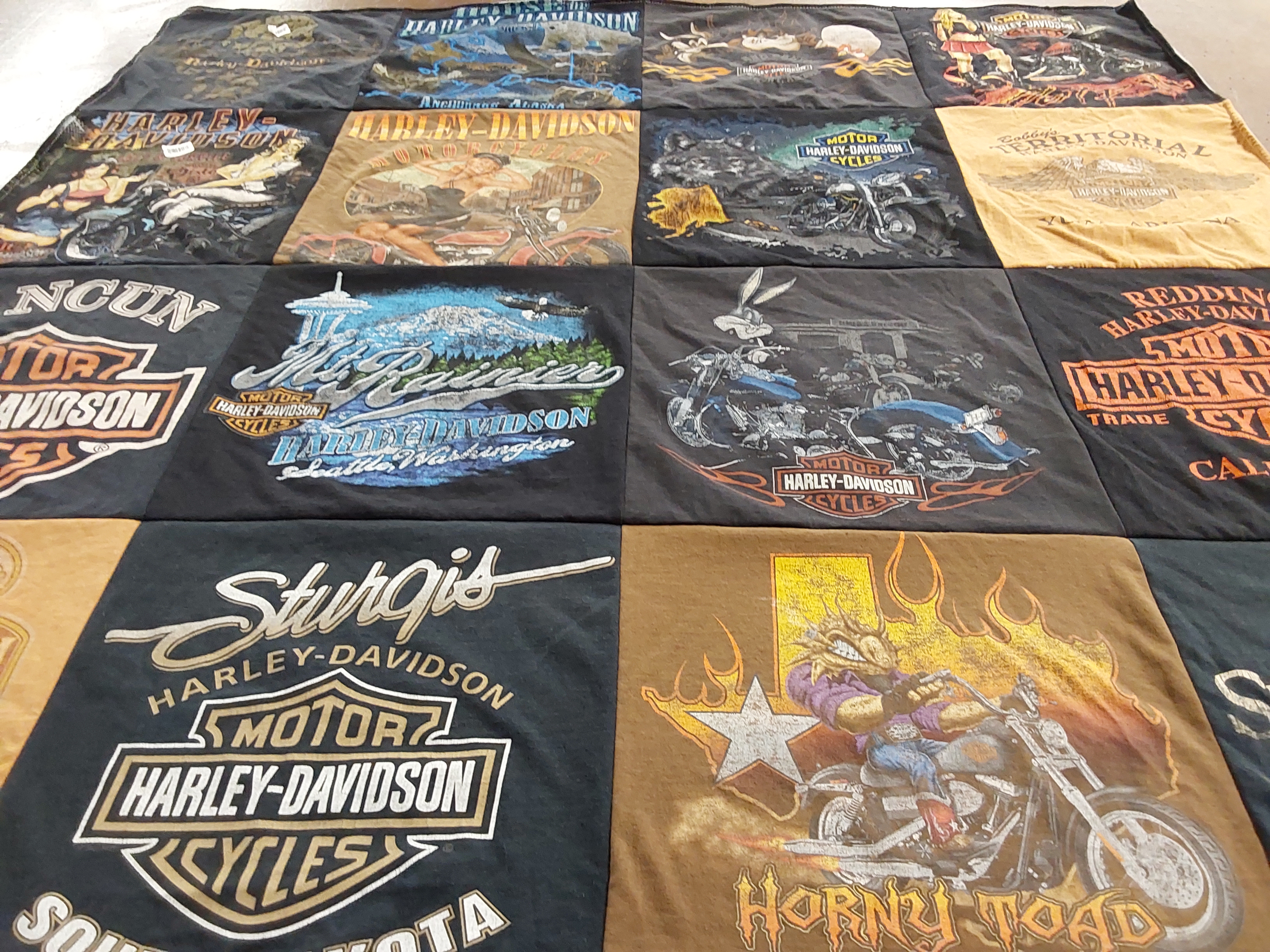 T-shirt quilt with motorcycles, biking themes by Sylvia from CA