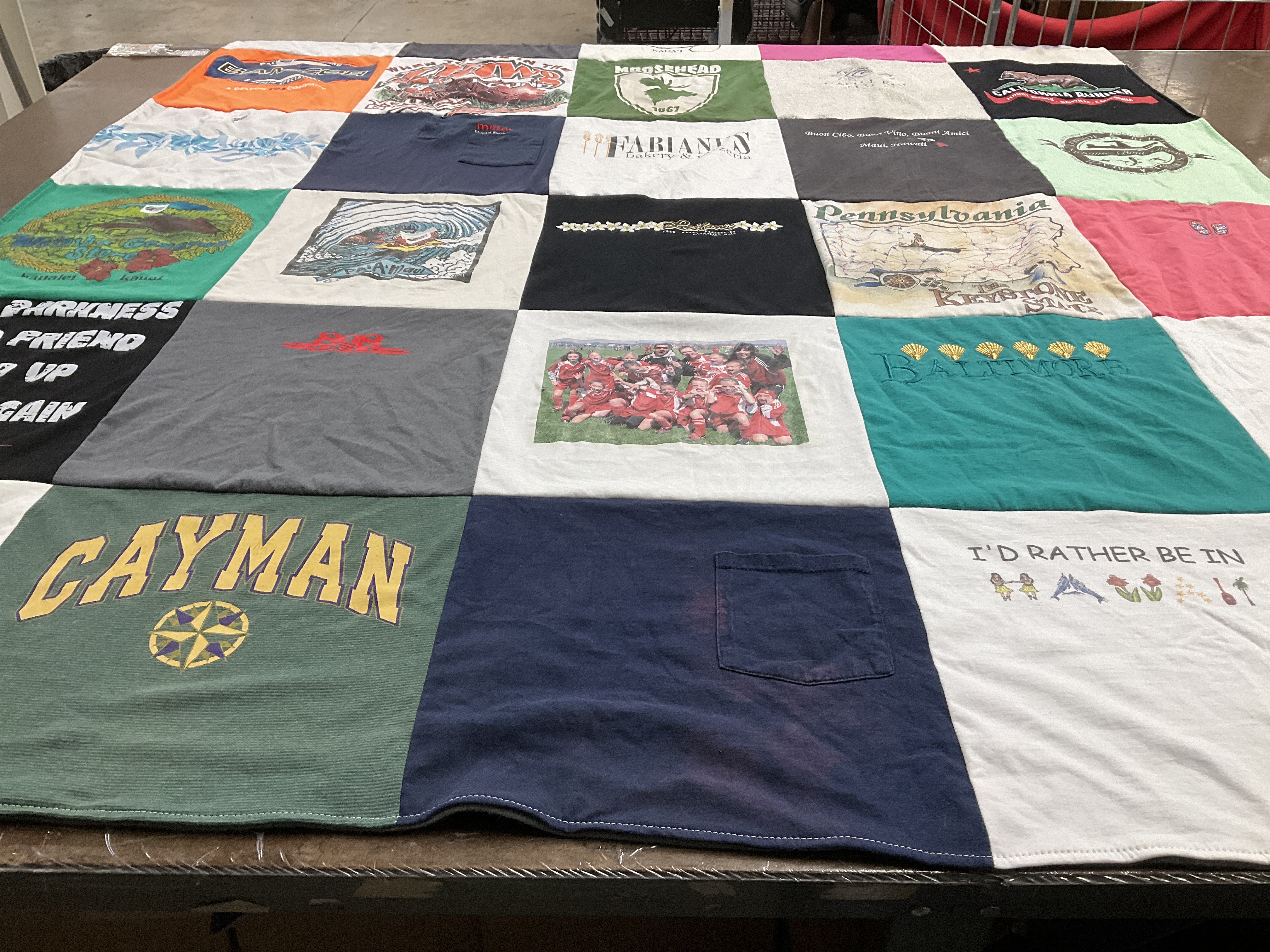 T-shirt quilt with travel, nature themes by Carol from FL