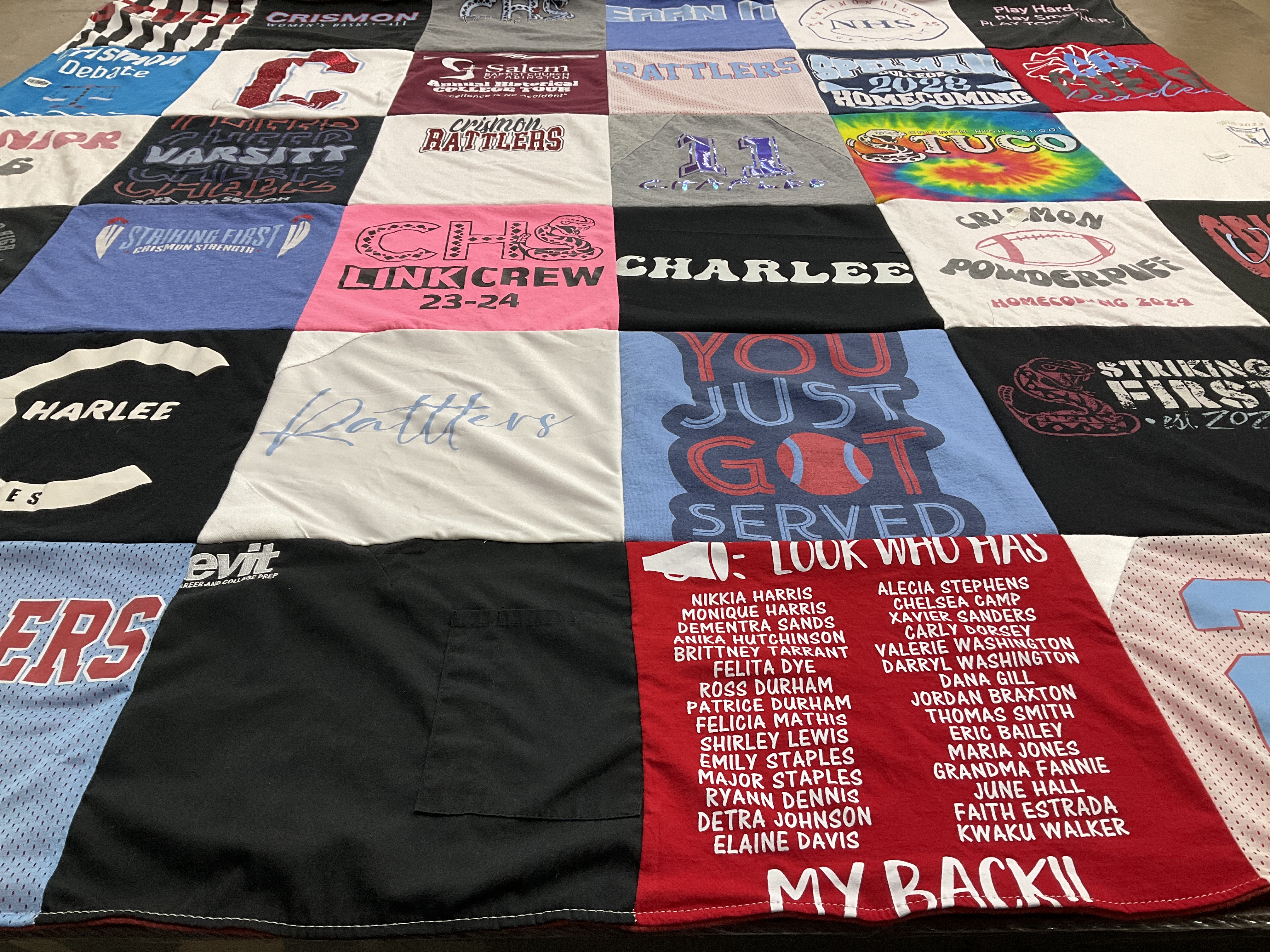 T-shirt quilt featuring rattlers by Penelope from AZ