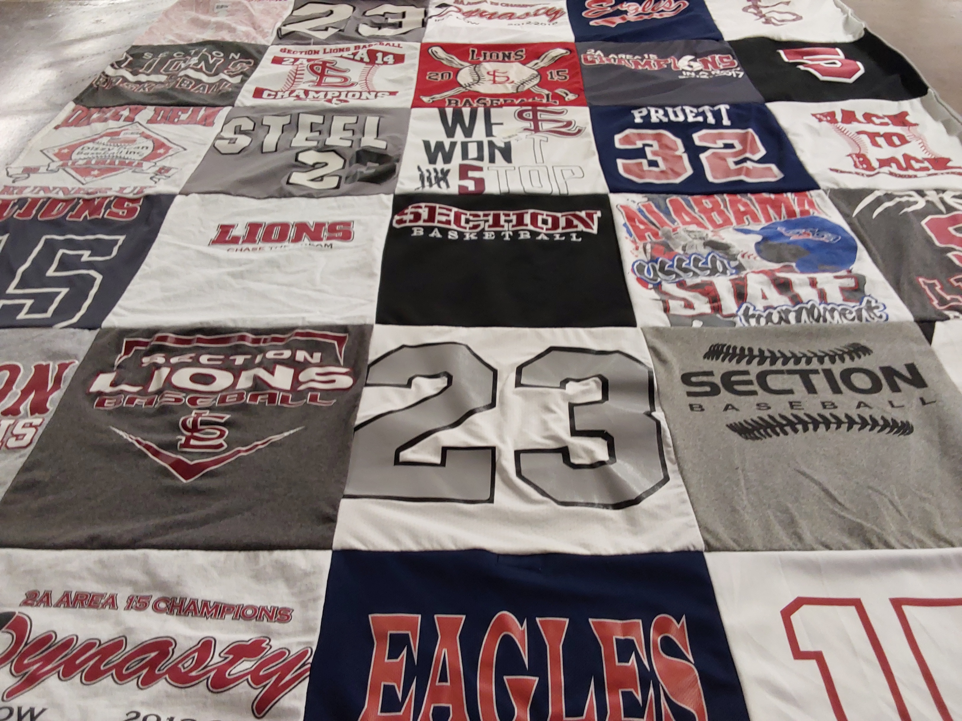 T-shirt quilt featuring section lions baseball by Shannon from AL