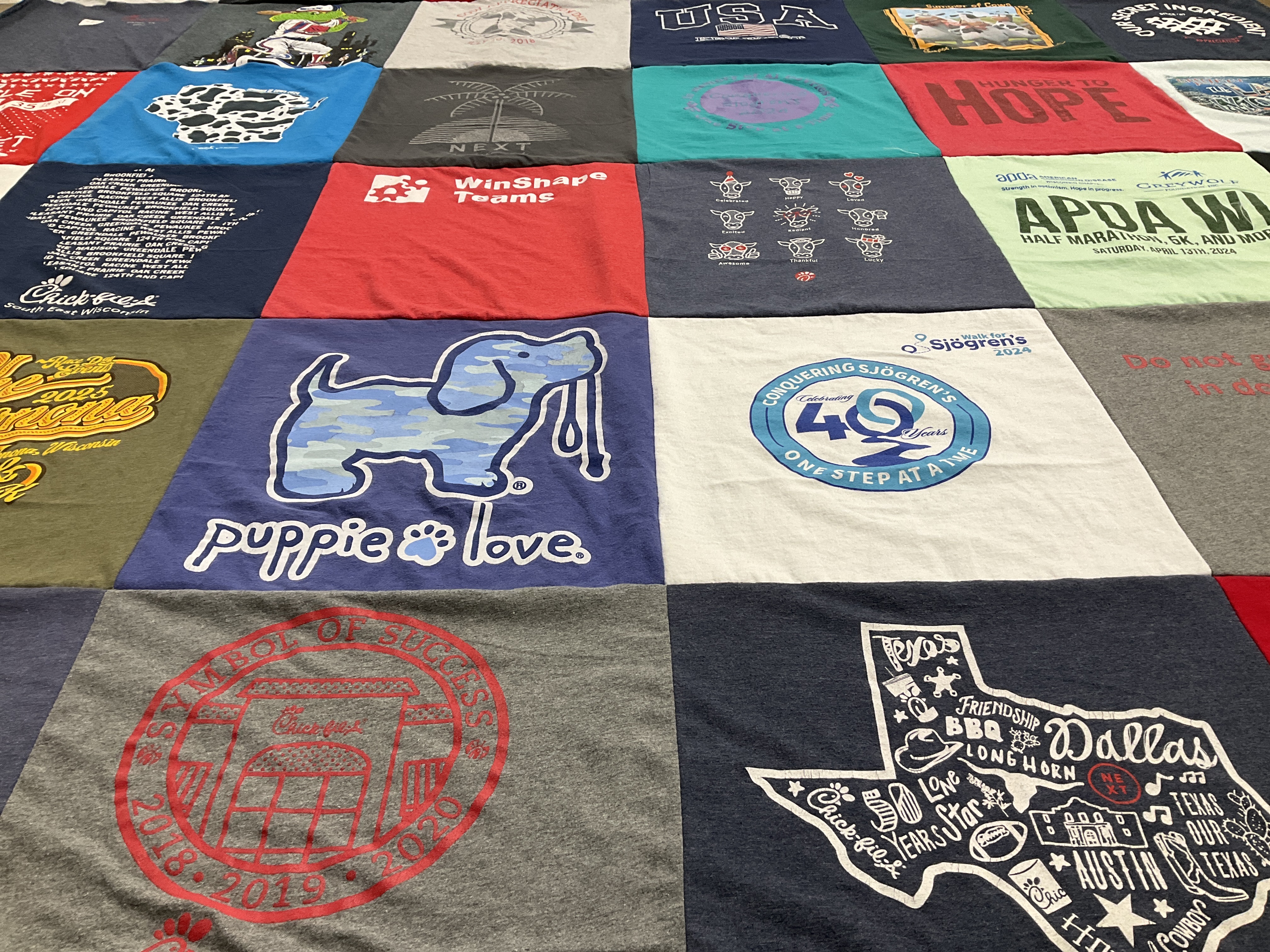 T-shirt quilt with animal welfare, running themes by Monica from WI