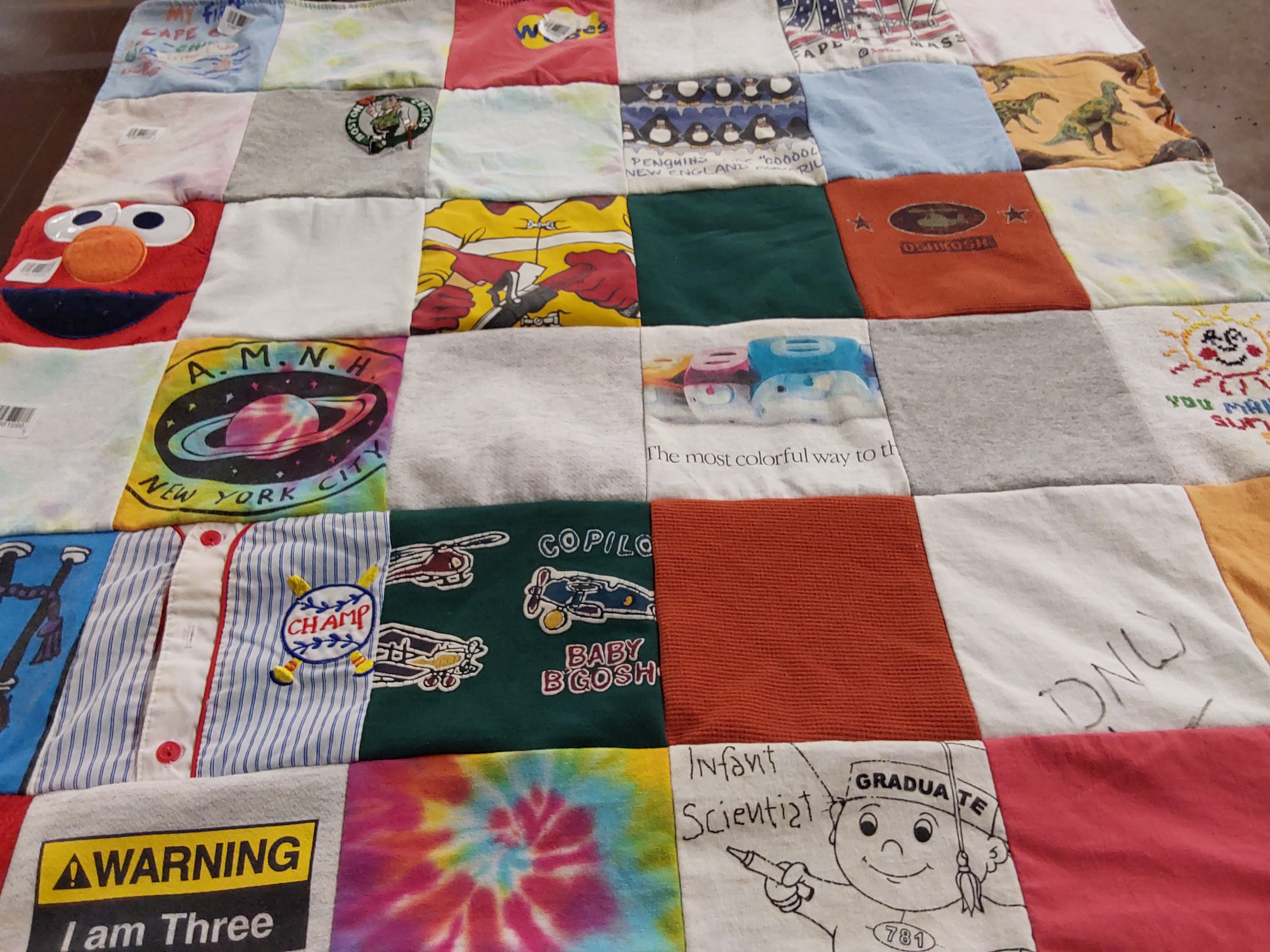 T-shirt quilt with science, dinosaurs themes by Stephanie from MA