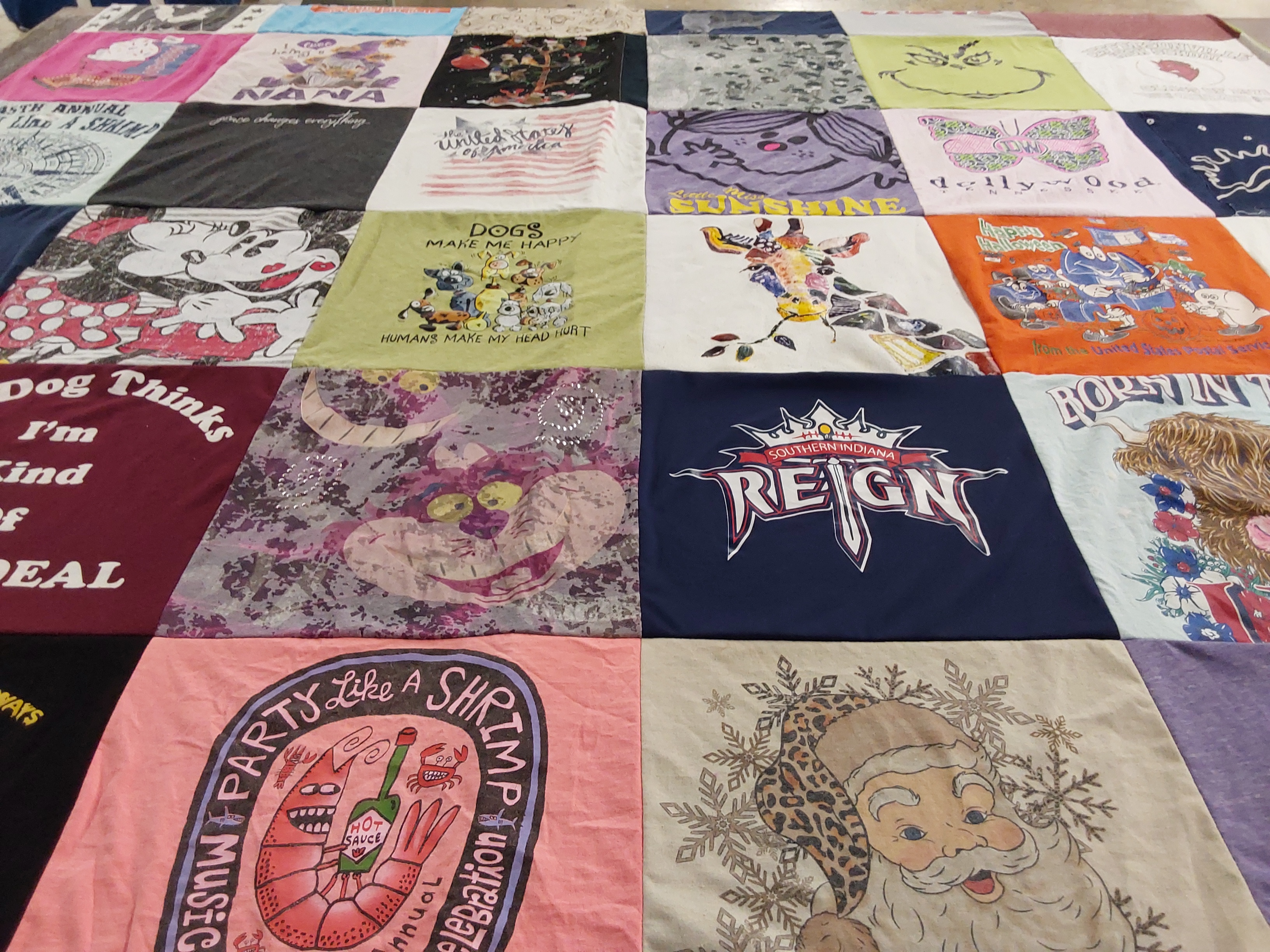 T-shirt quilt with pets, humor themes by Jeannie from IN