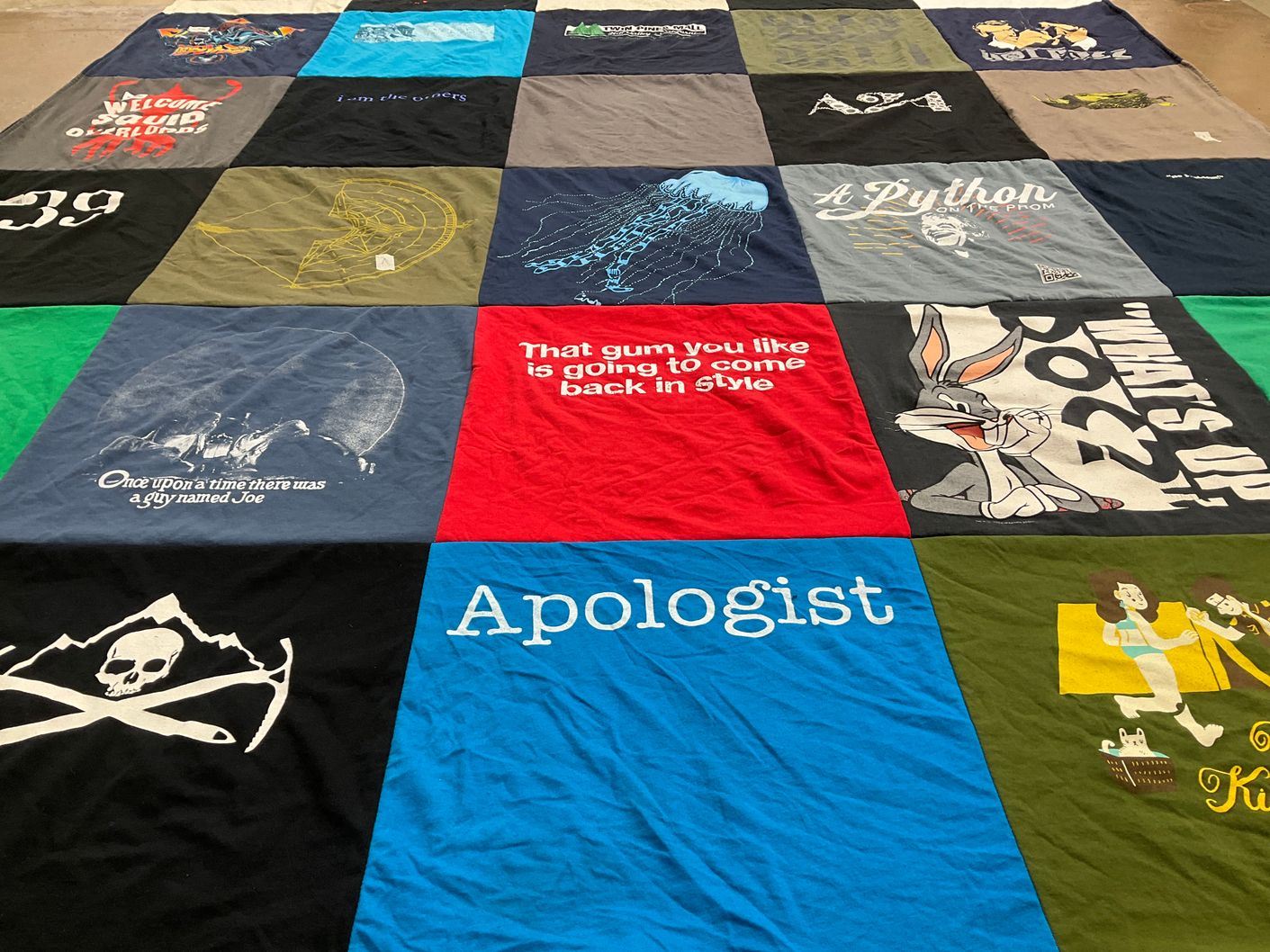 T-shirt quilt with science, python themes by Benjamin from NH