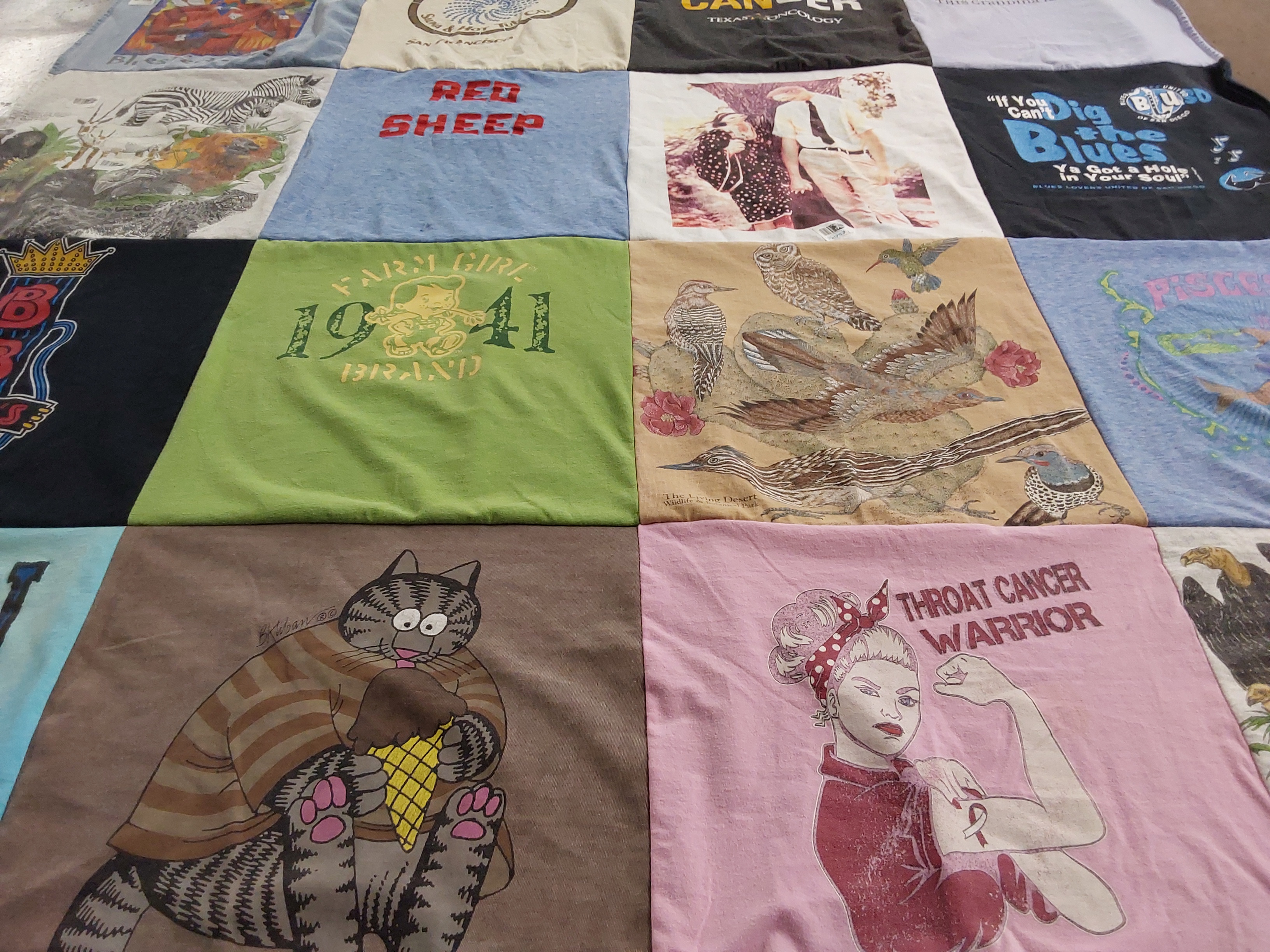 T-shirt quilt with farming, wildlife themes by Nora from TX
