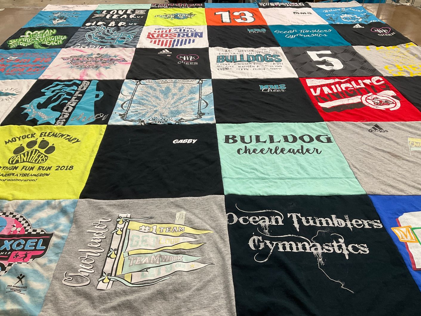 T-shirt quilt featuring panthers, bulldogs by Eve from NC