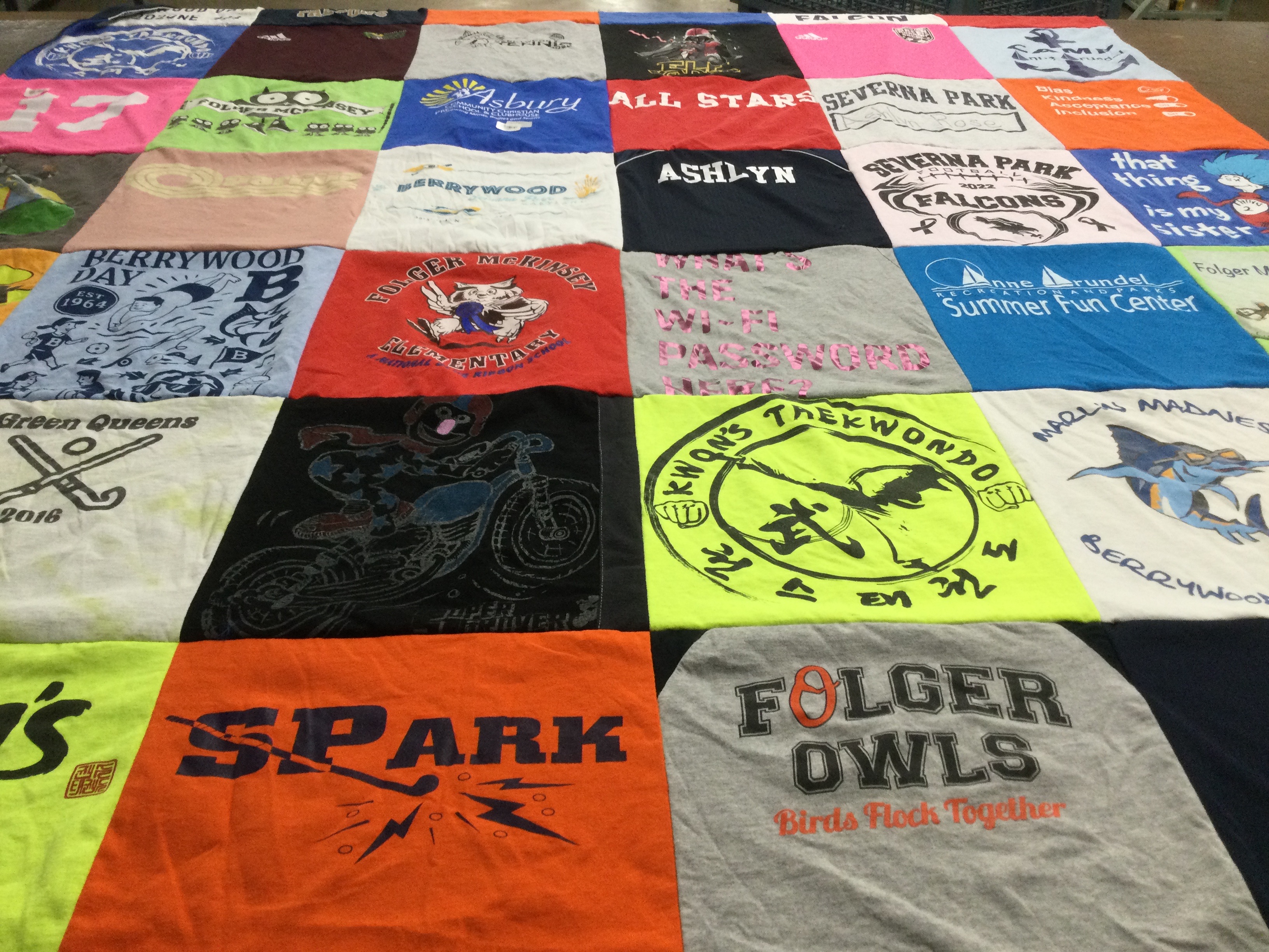 T-shirt quilt featuring severna park eagles by Caryn from MD