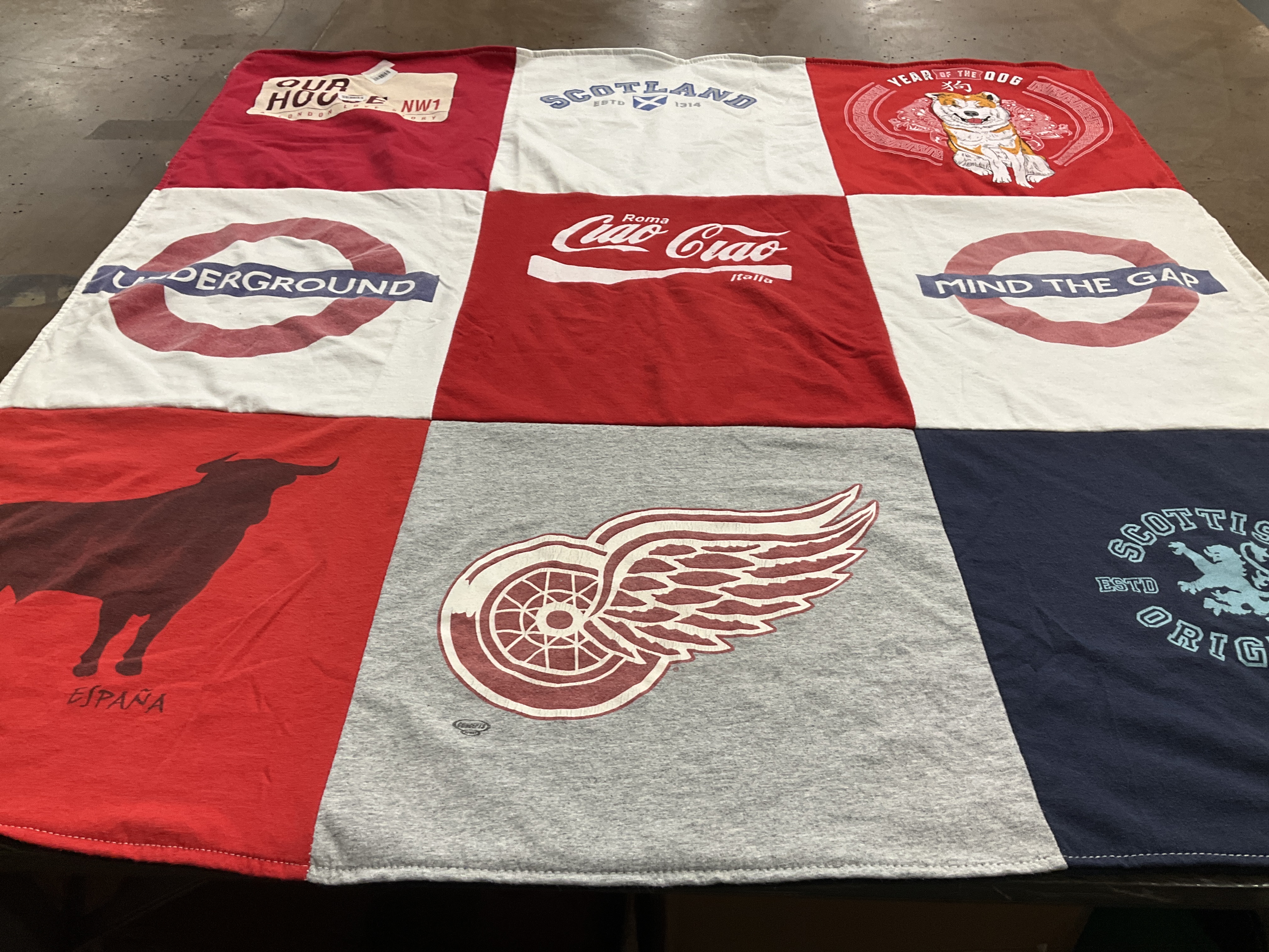 T-shirt quilt with dogs, travel themes by Nora from IL
