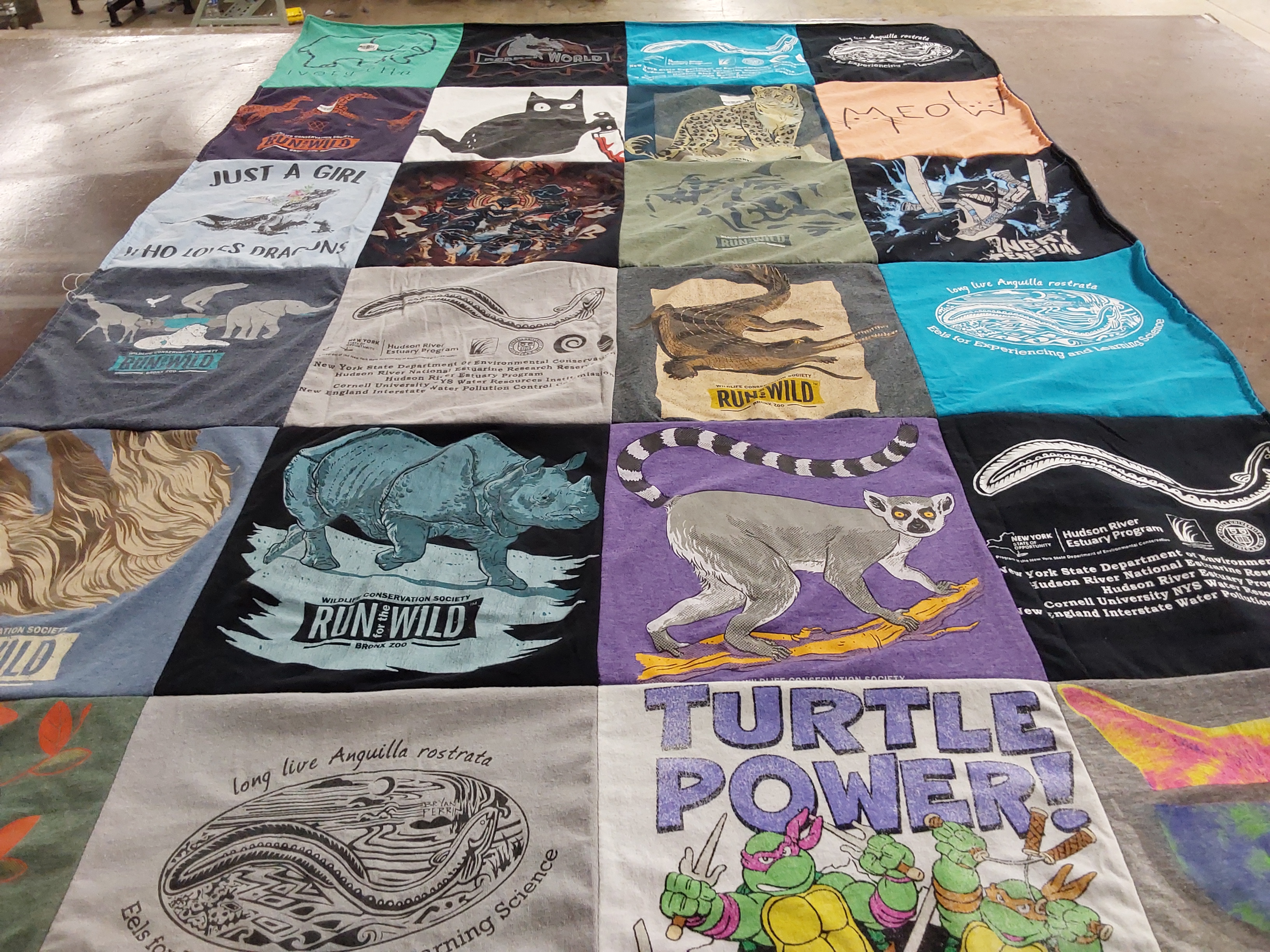 T-shirt quilt from cornell university by Meghan from NY