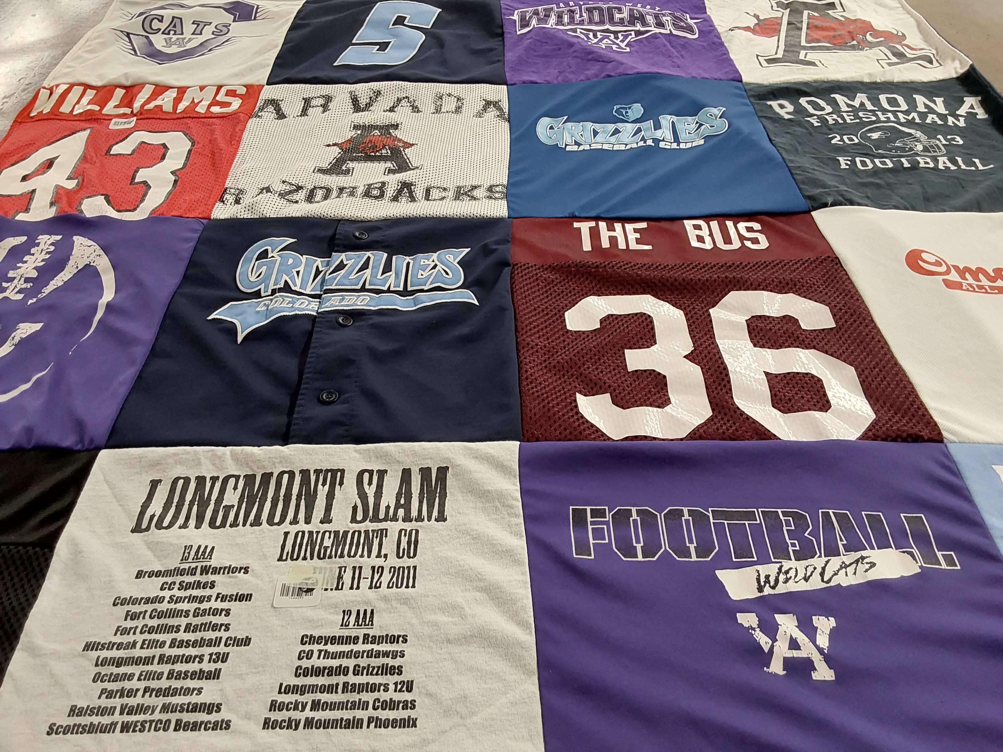T-shirt quilt featuring cheyenne raptors, longmont raptors by Mike from CO