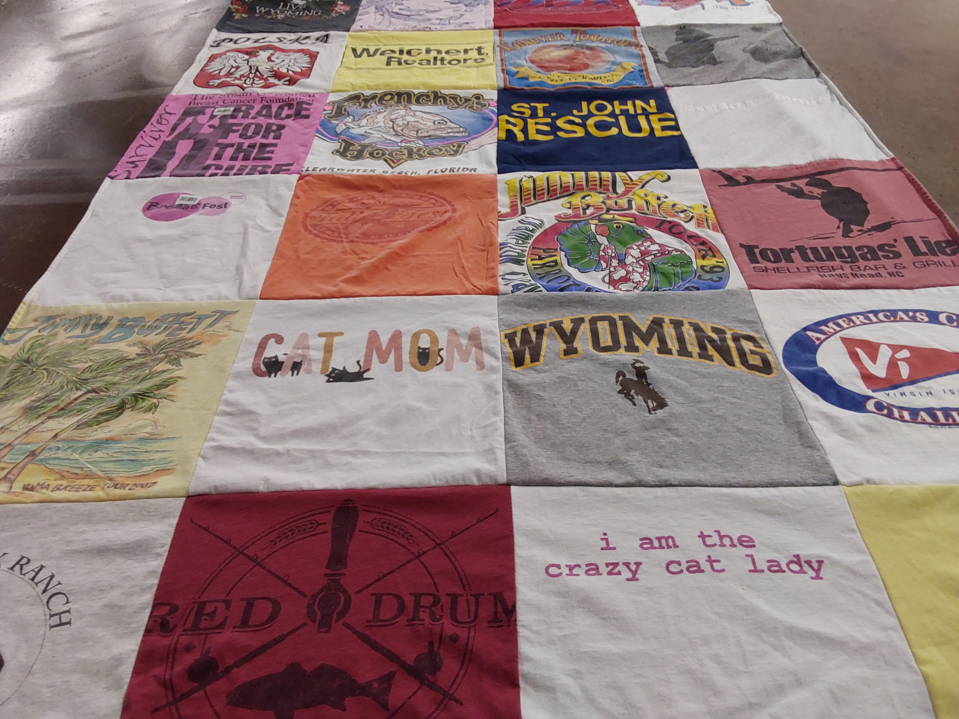 T-shirt quilt from university of wyoming by Janice from VA