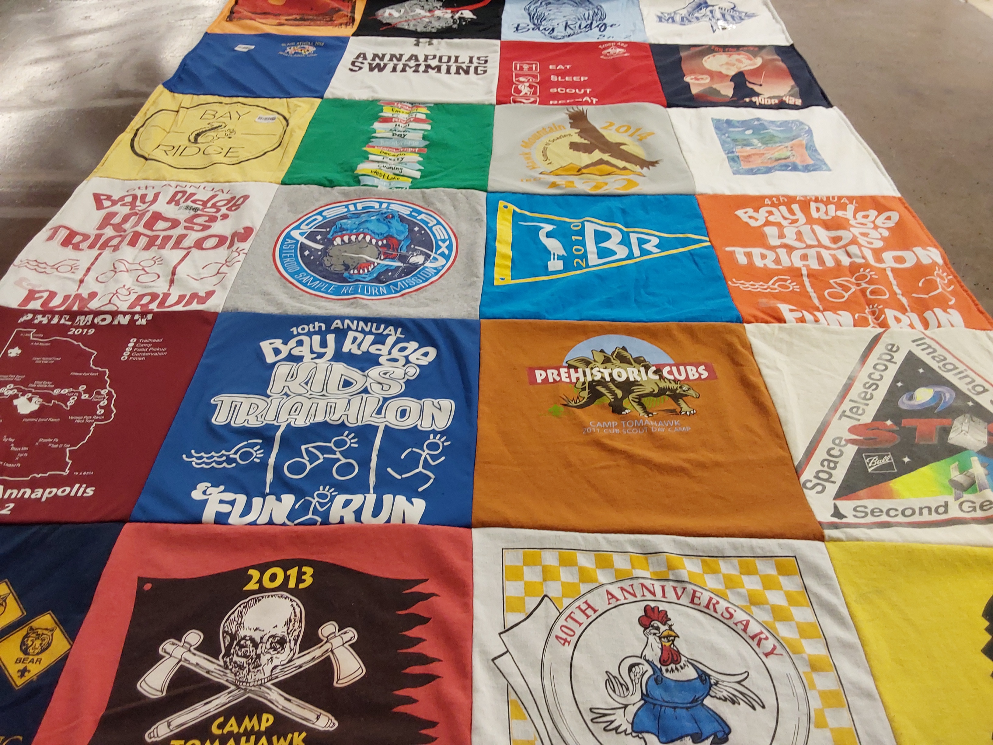T-shirt quilt with swimming, triathlon themes by Kelly from MD