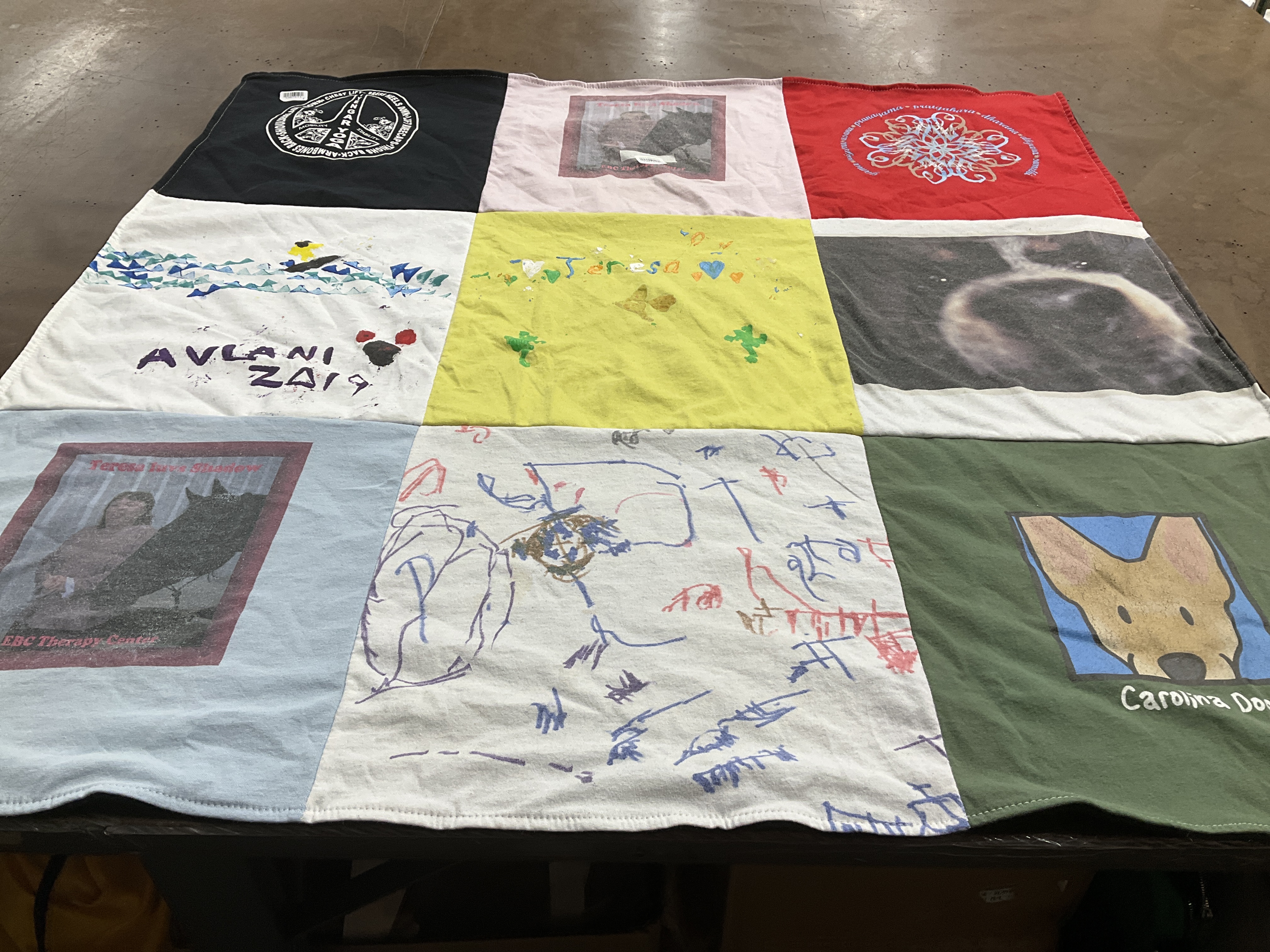 T-shirt quilt with art, animals themes by Noreen from NY