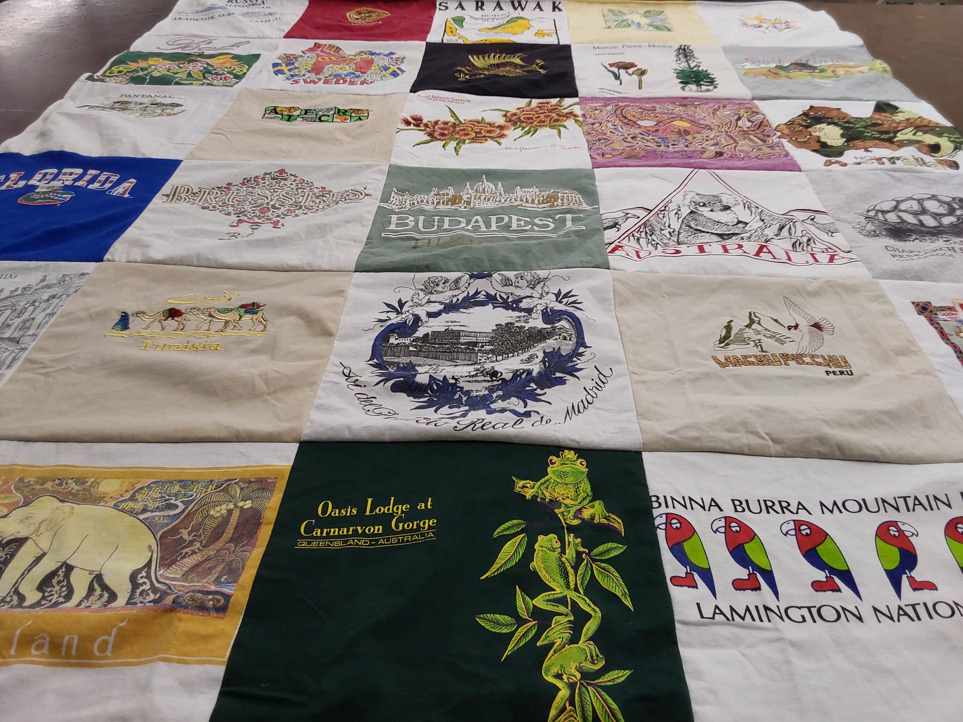 T-shirt quilt with travel, nature themes by Suzanne from CA