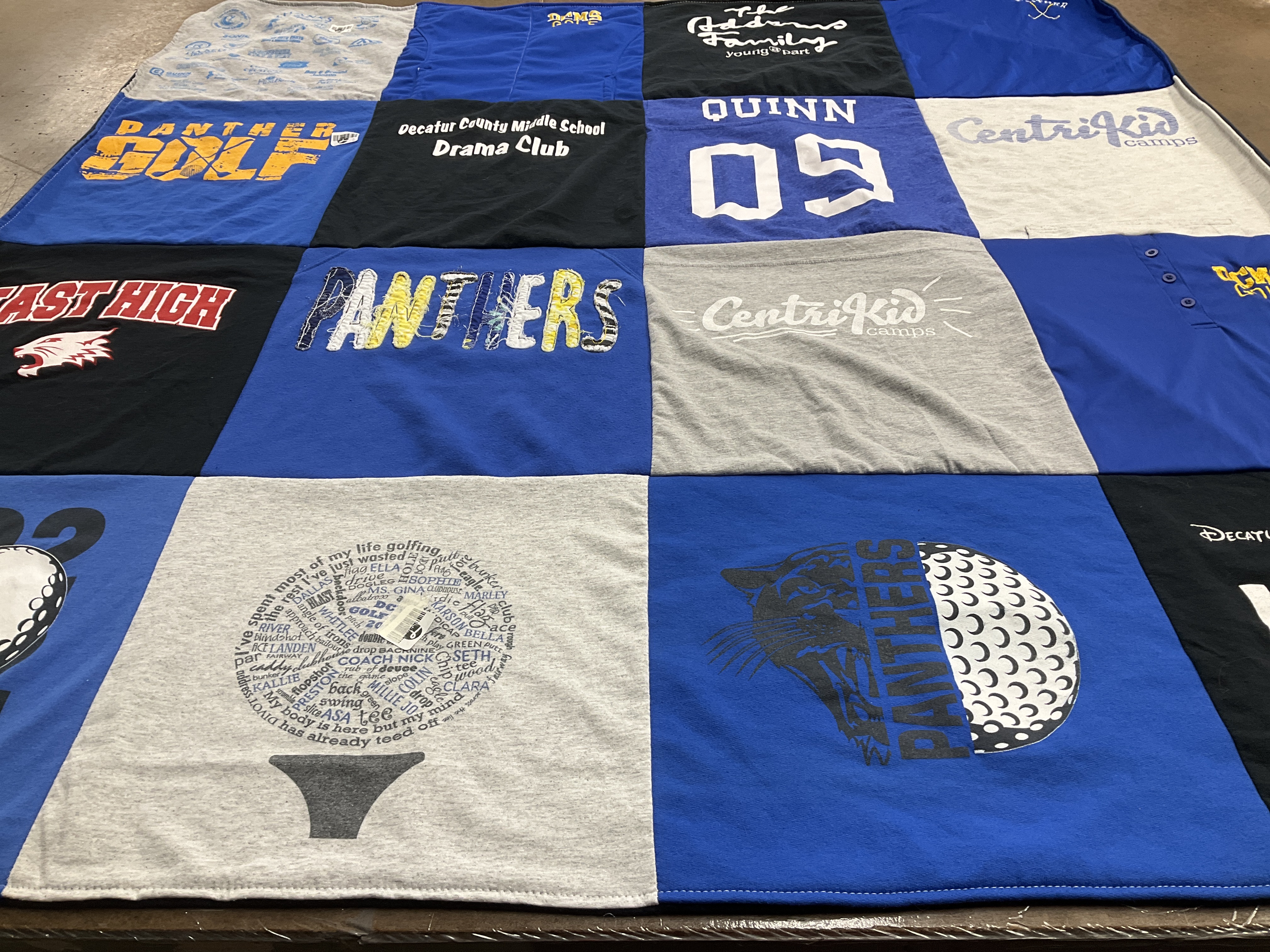 T-shirt quilt featuring panthers by Tracie  from TN