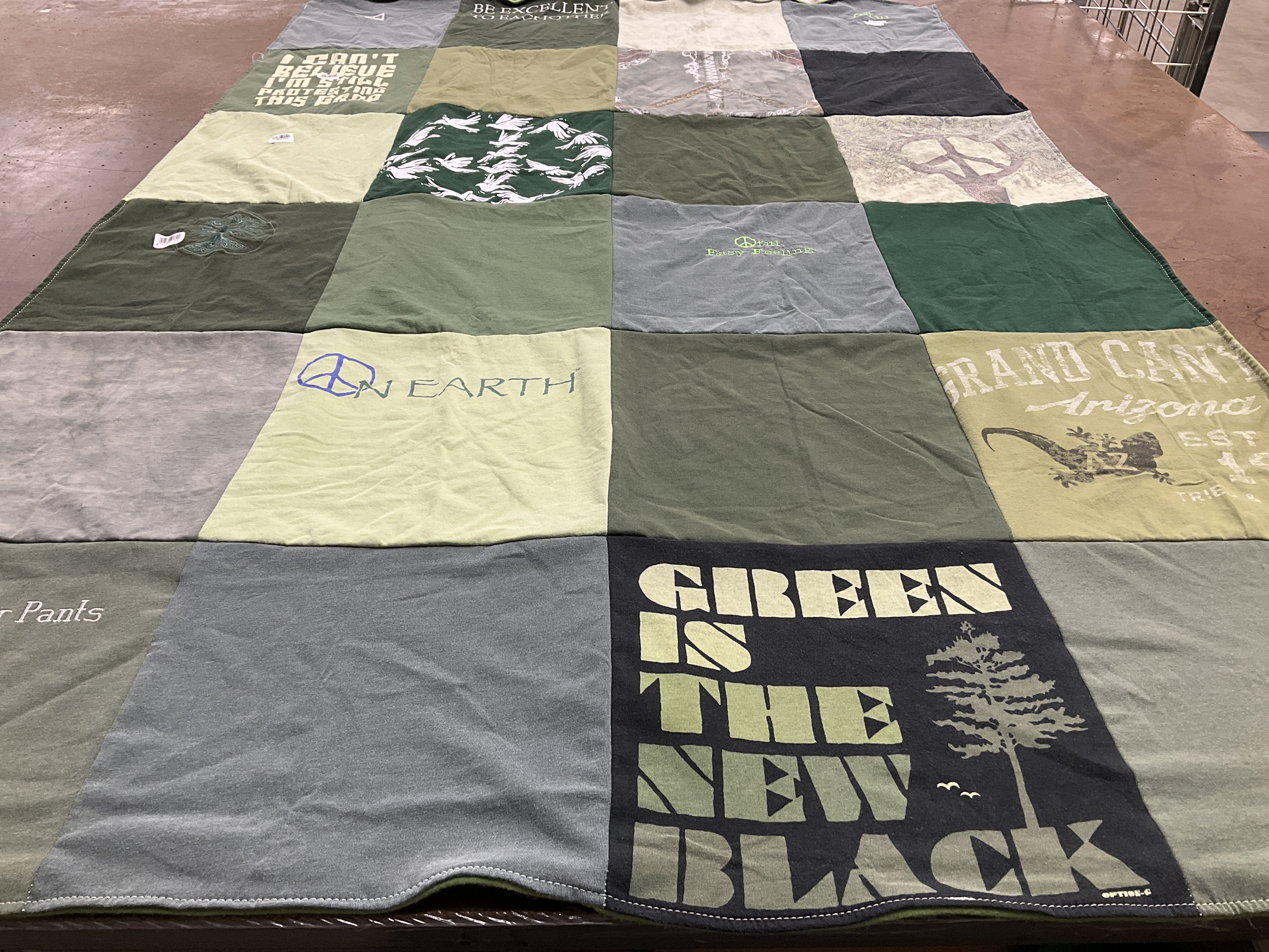 T-shirt quilt with environment, nature themes by Donna from PA