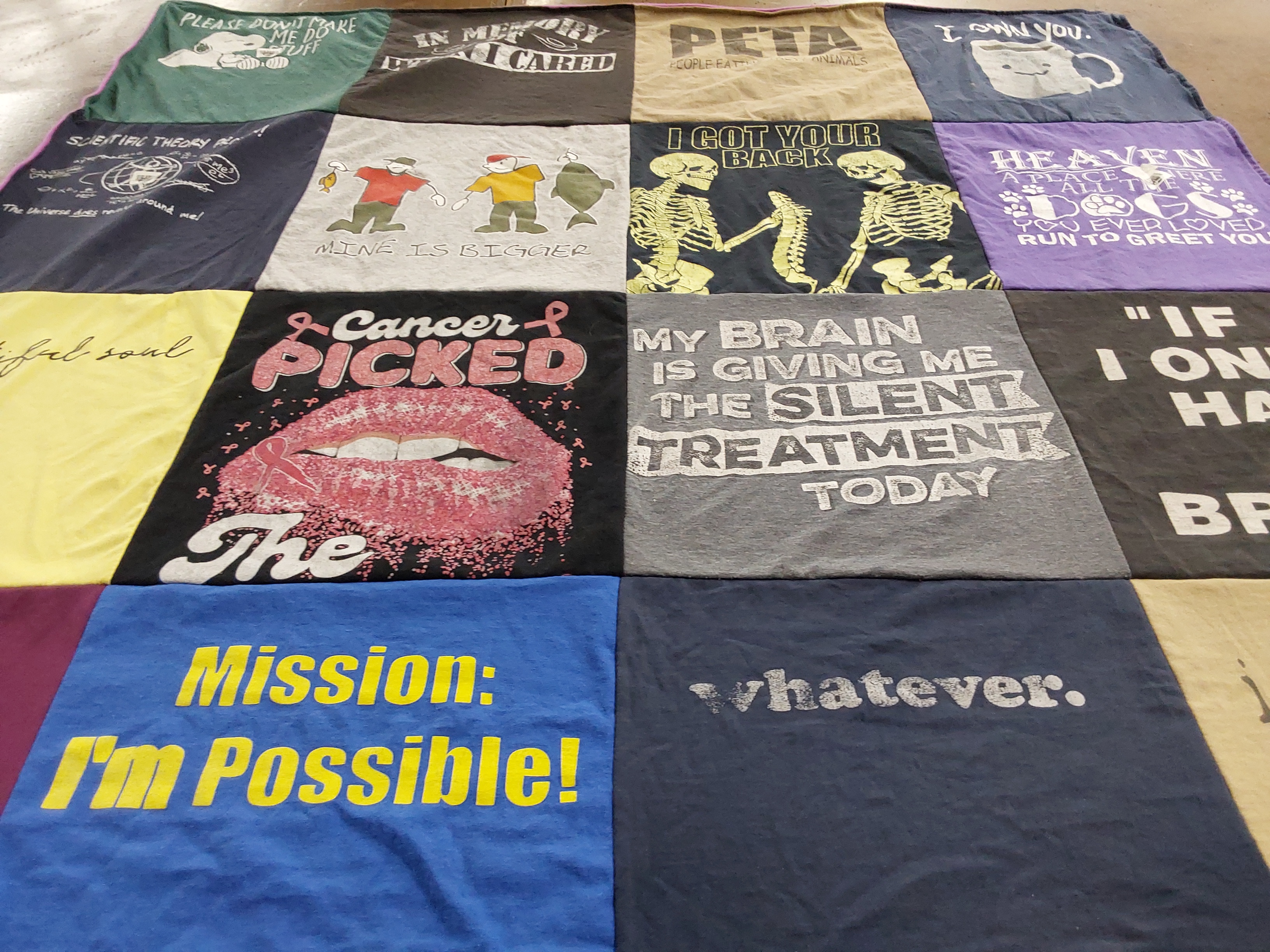 T-shirt quilt with animals, science themes by Rachel from CO