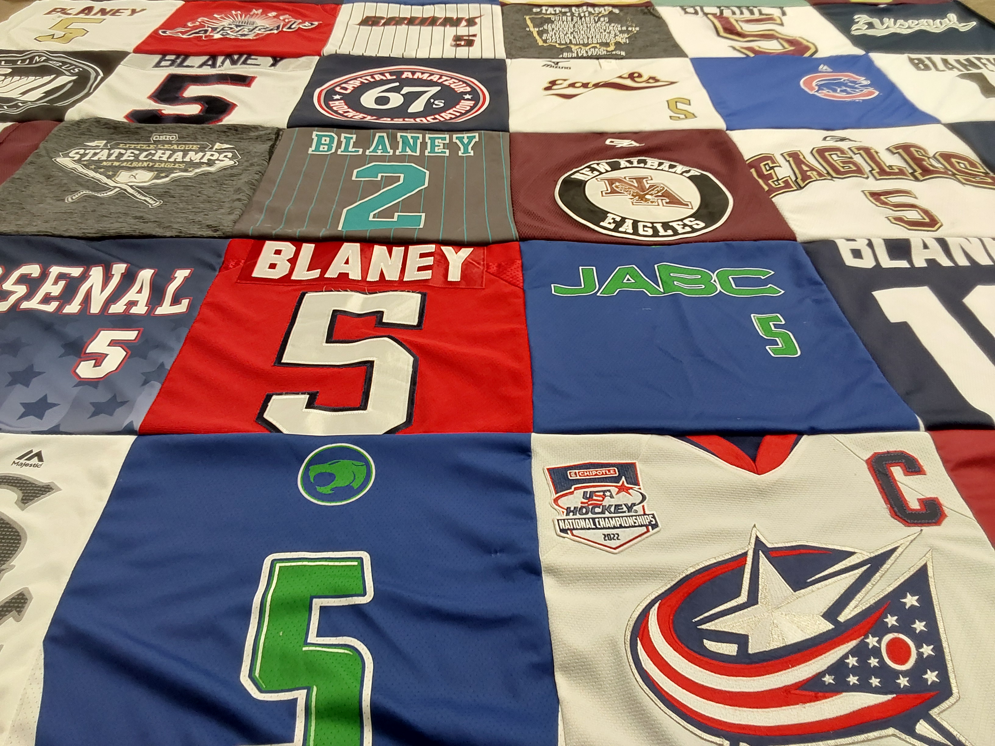 T-shirt quilt featuring central american eagles by Michele from OH