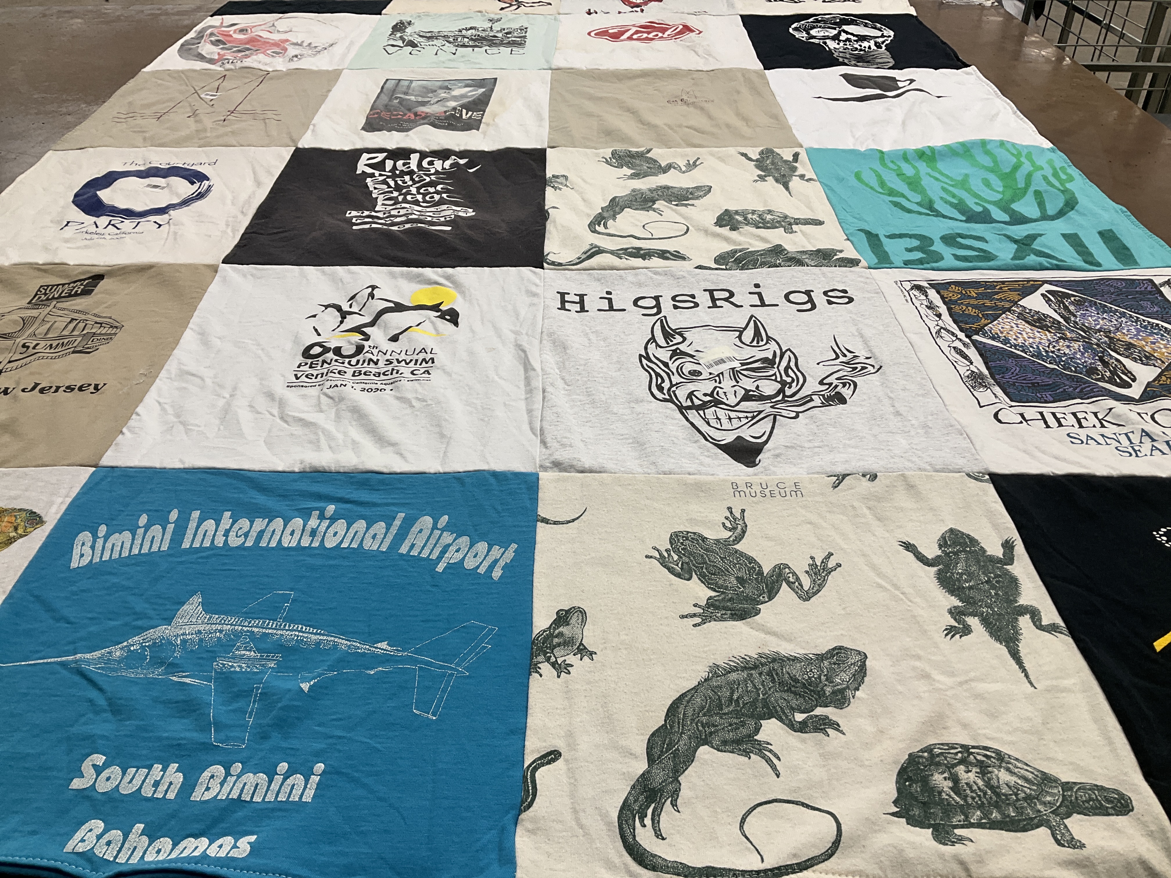 T-shirt quilt with travel, wildlife themes by Bruce from CA