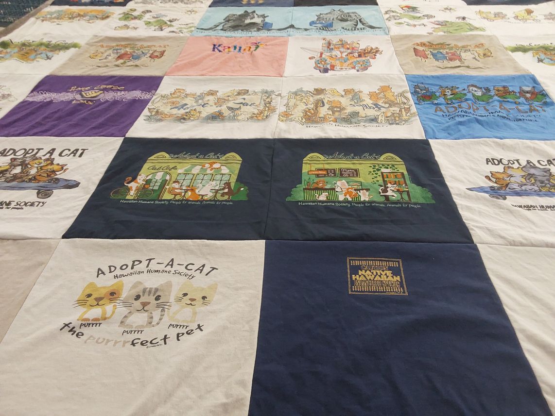 T-shirt quilt with cats, animal adoption themes by ELIZABETH from NE