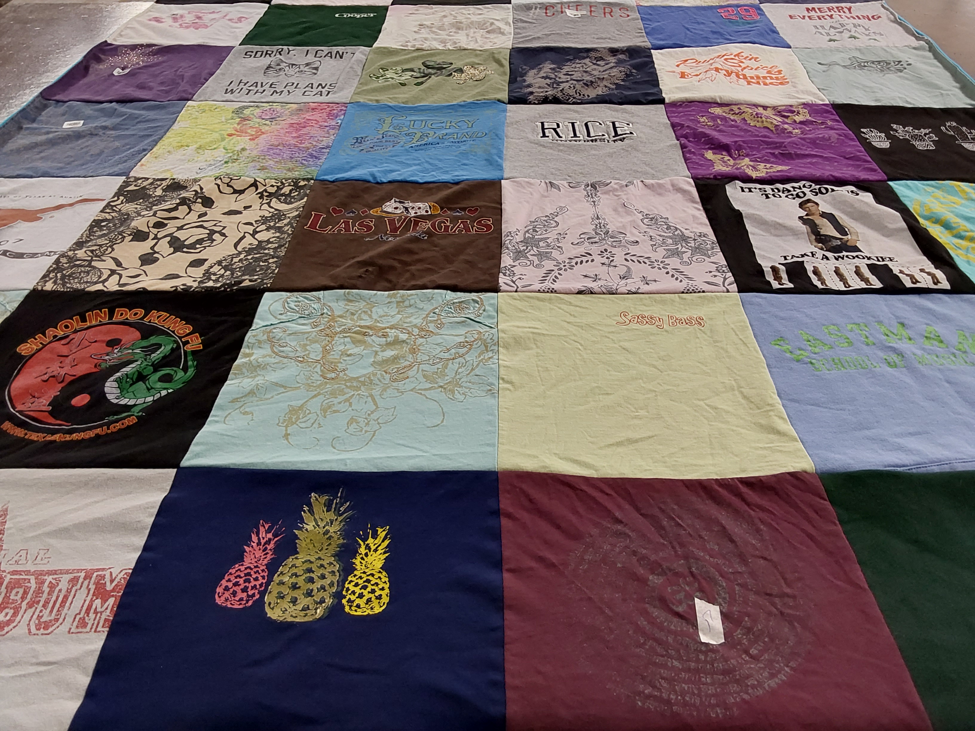 T-shirt quilt with music, martial arts themes by Lucinda from TX