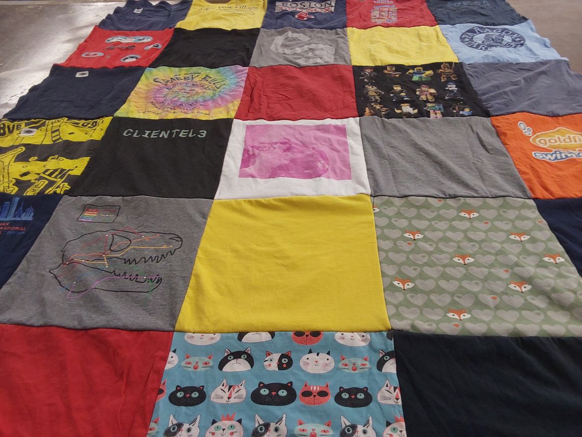 T-shirt quilt with cats, dinosaurs themes by Bettina from MA