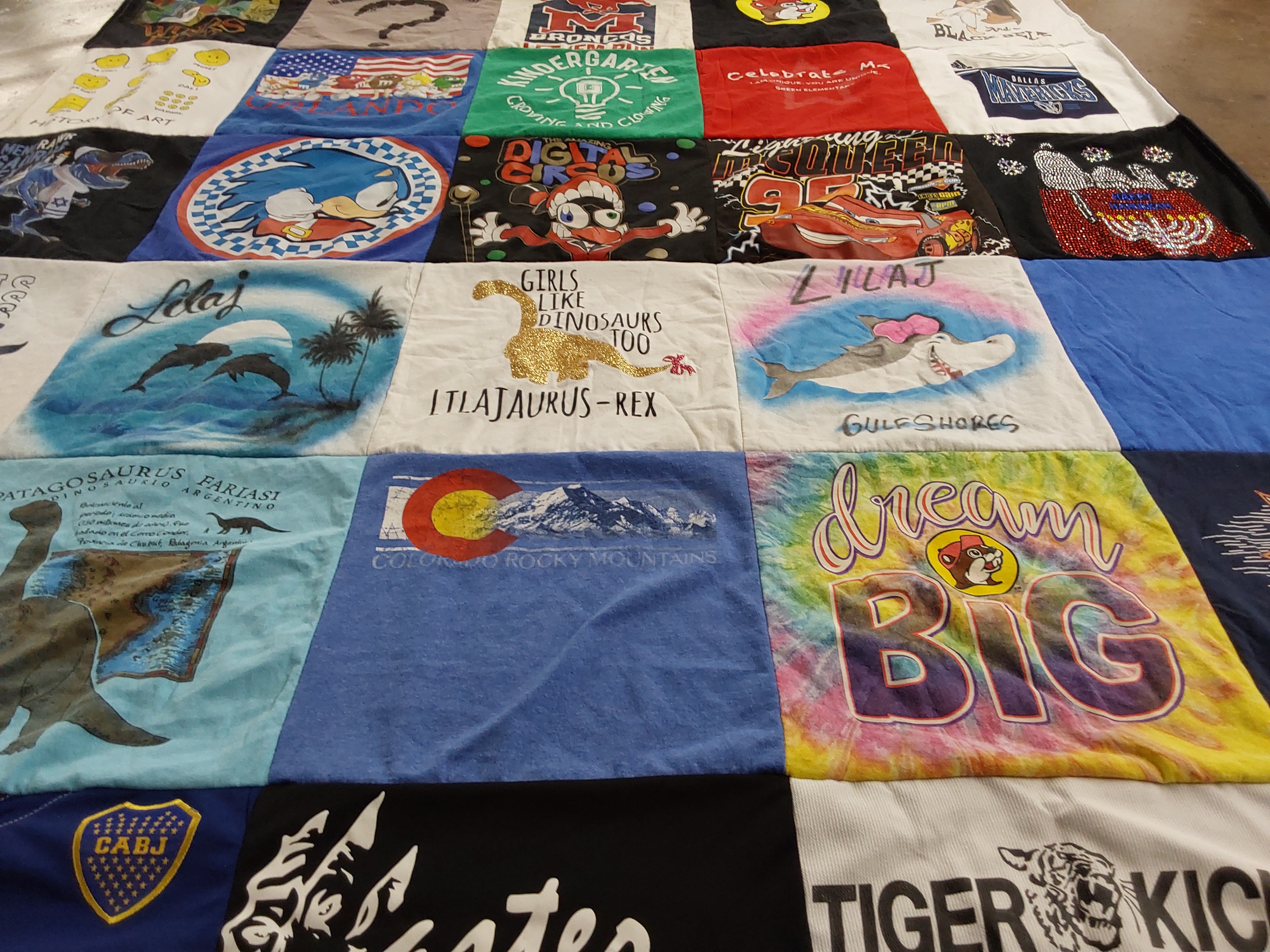 T-shirt quilt with dinosaurs, art themes by Lissette from TX