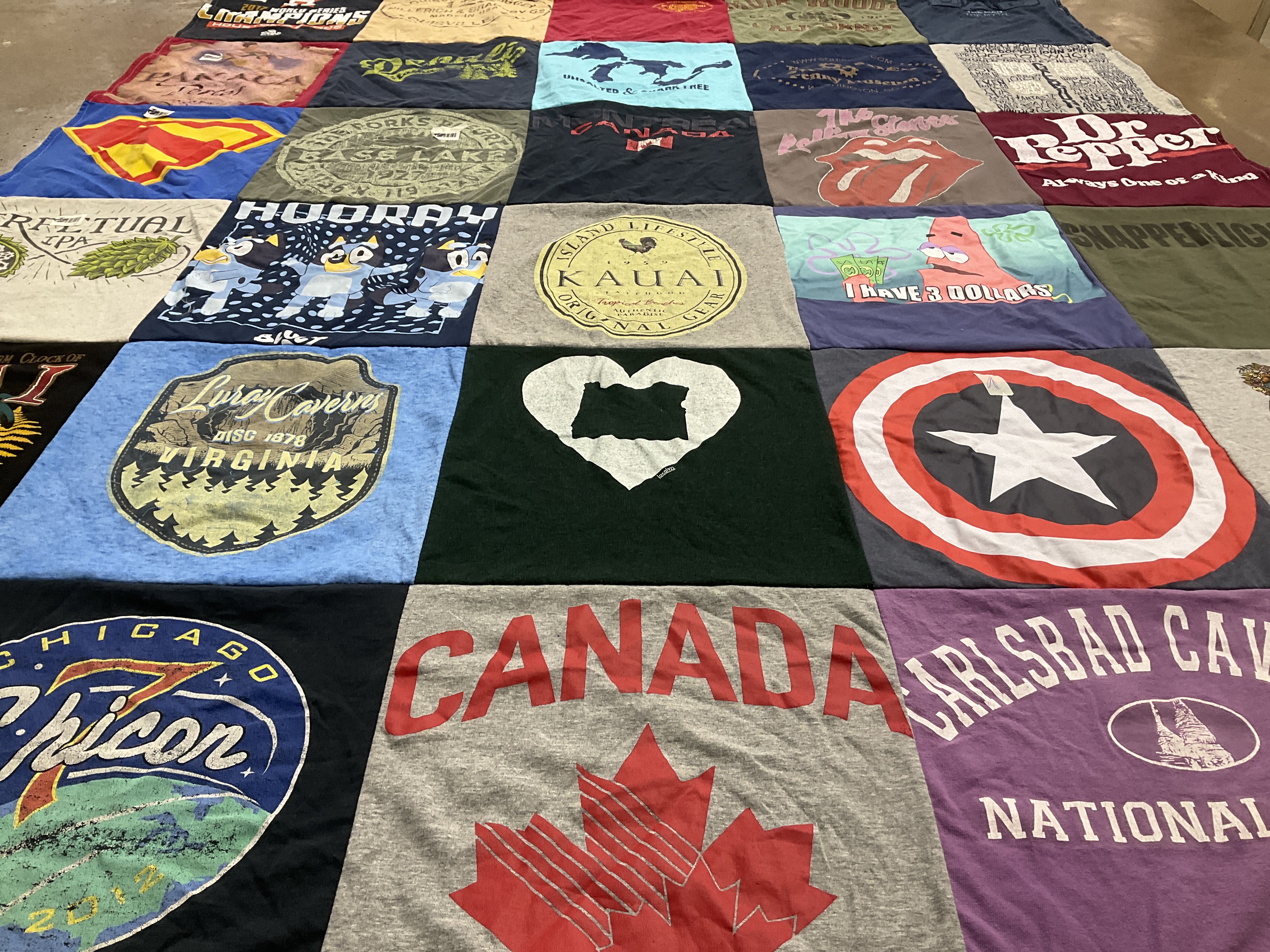 T-shirt quilt with travel, nature themes by Michele from PA