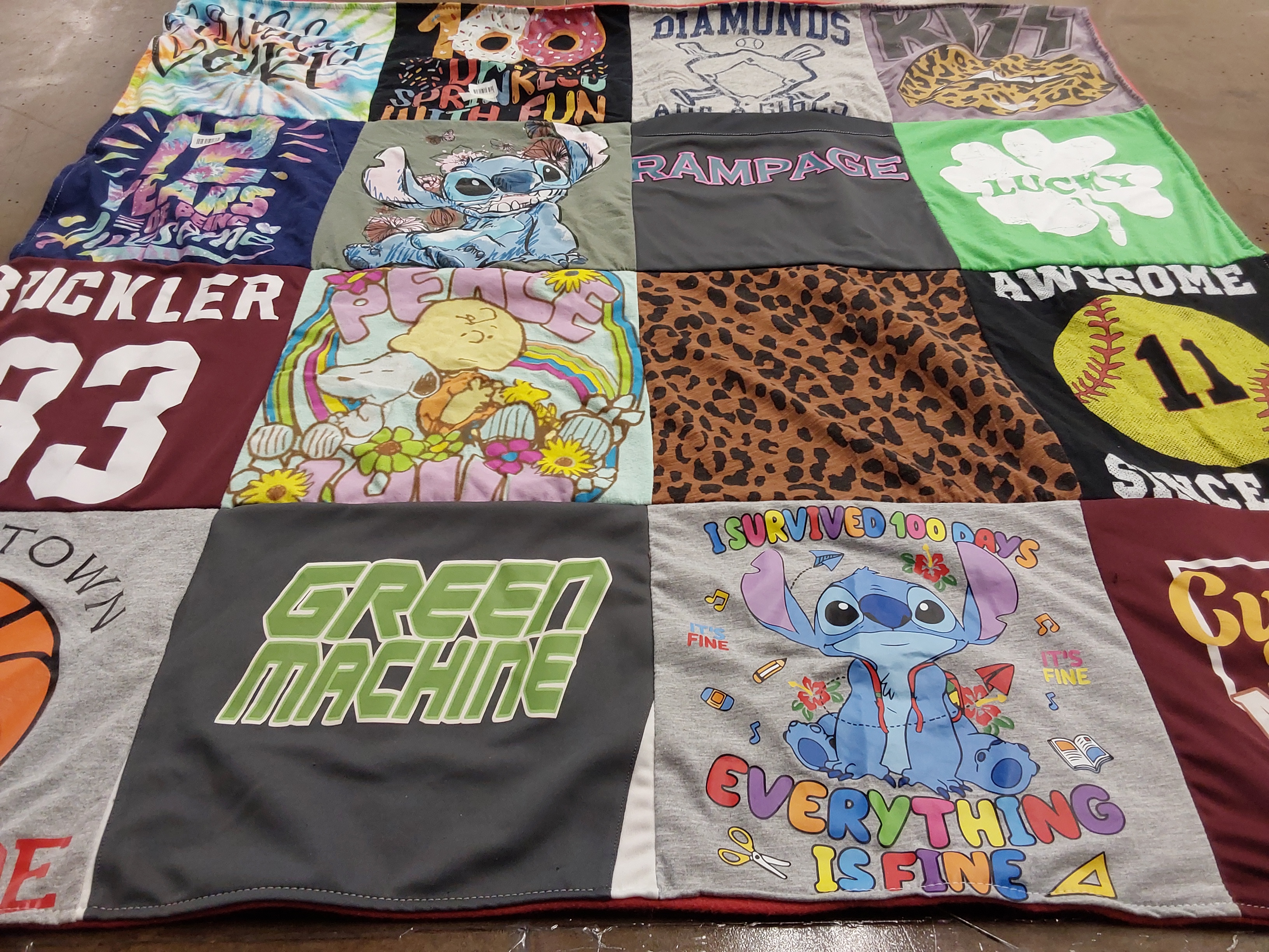 T-shirt quilt with sports, animals themes by Susan from KY