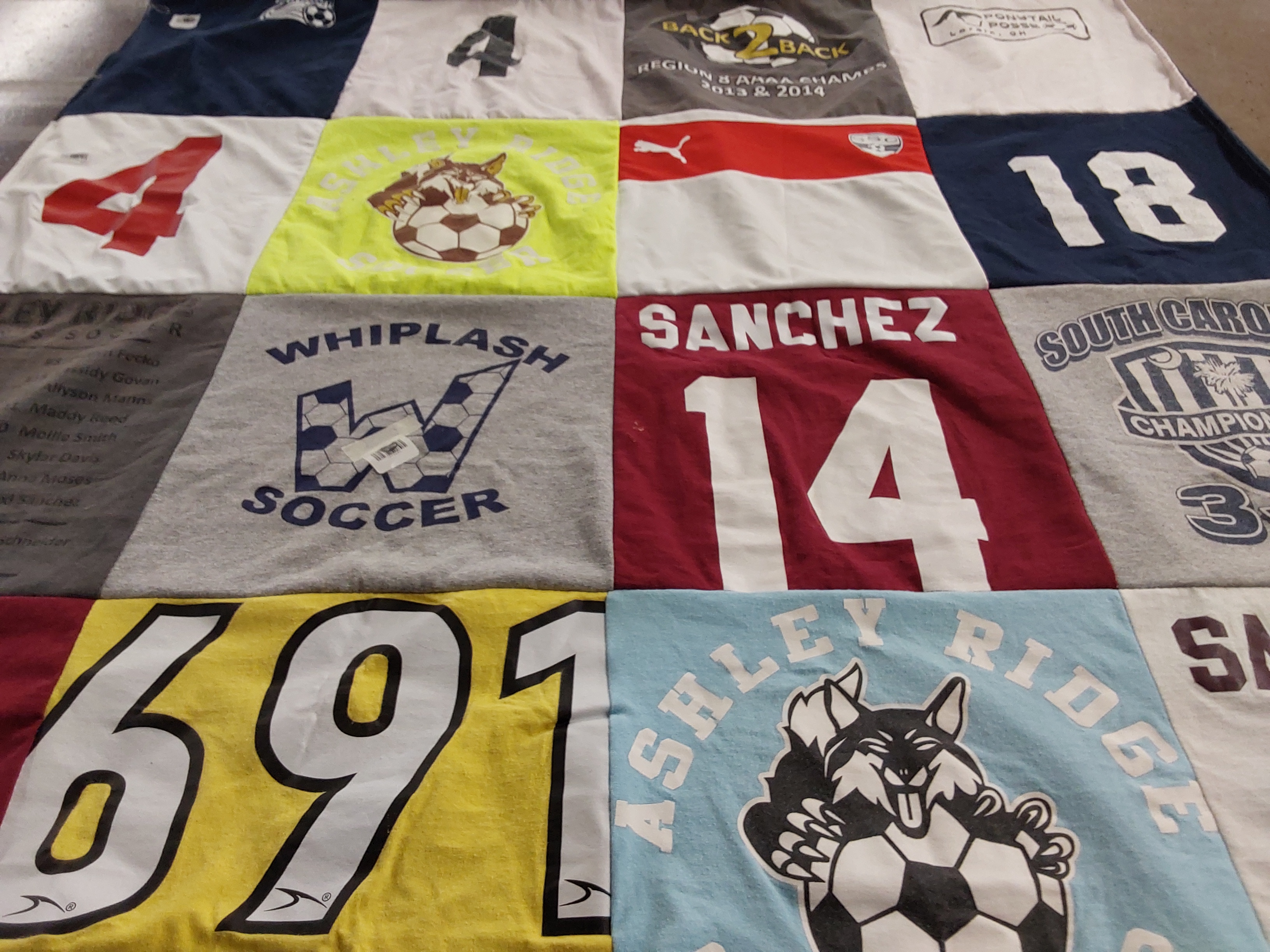 T-shirt quilt featuring south carolina team by Amy from GA