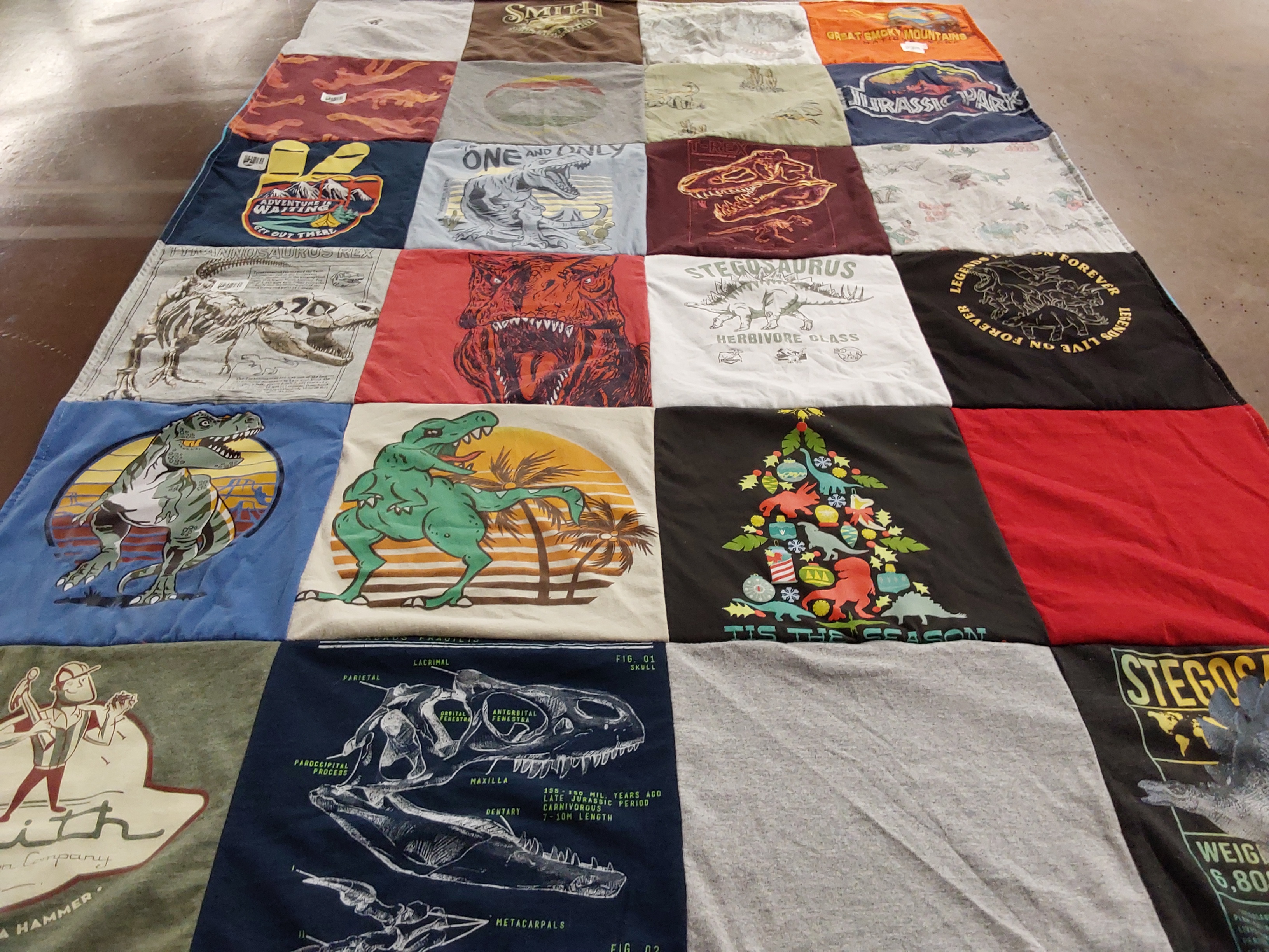 T-shirt quilt with dinosaurs, adventure themes by Candy from IL