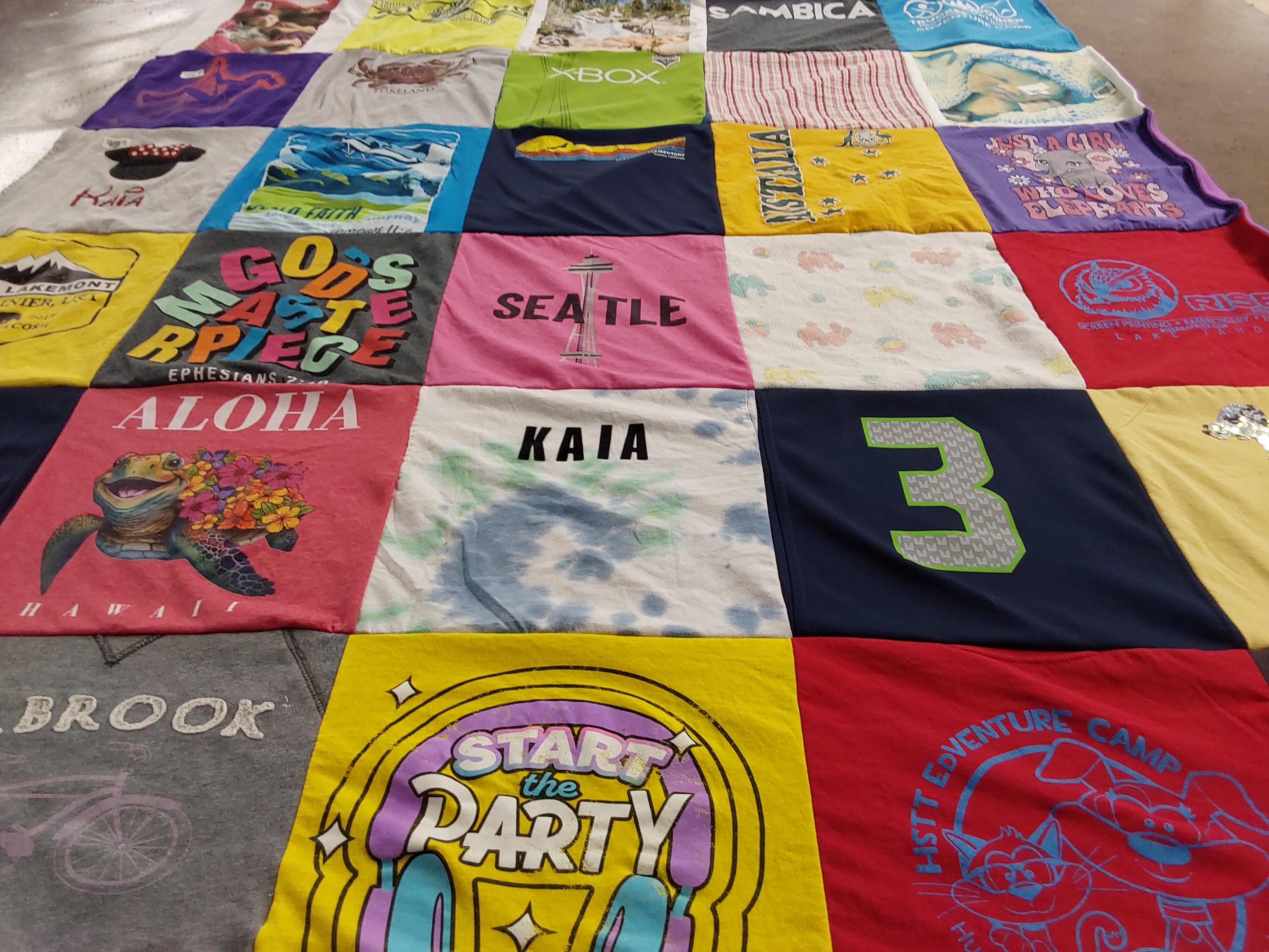 T-shirt quilt with travel, adventure themes by Gaye from WA