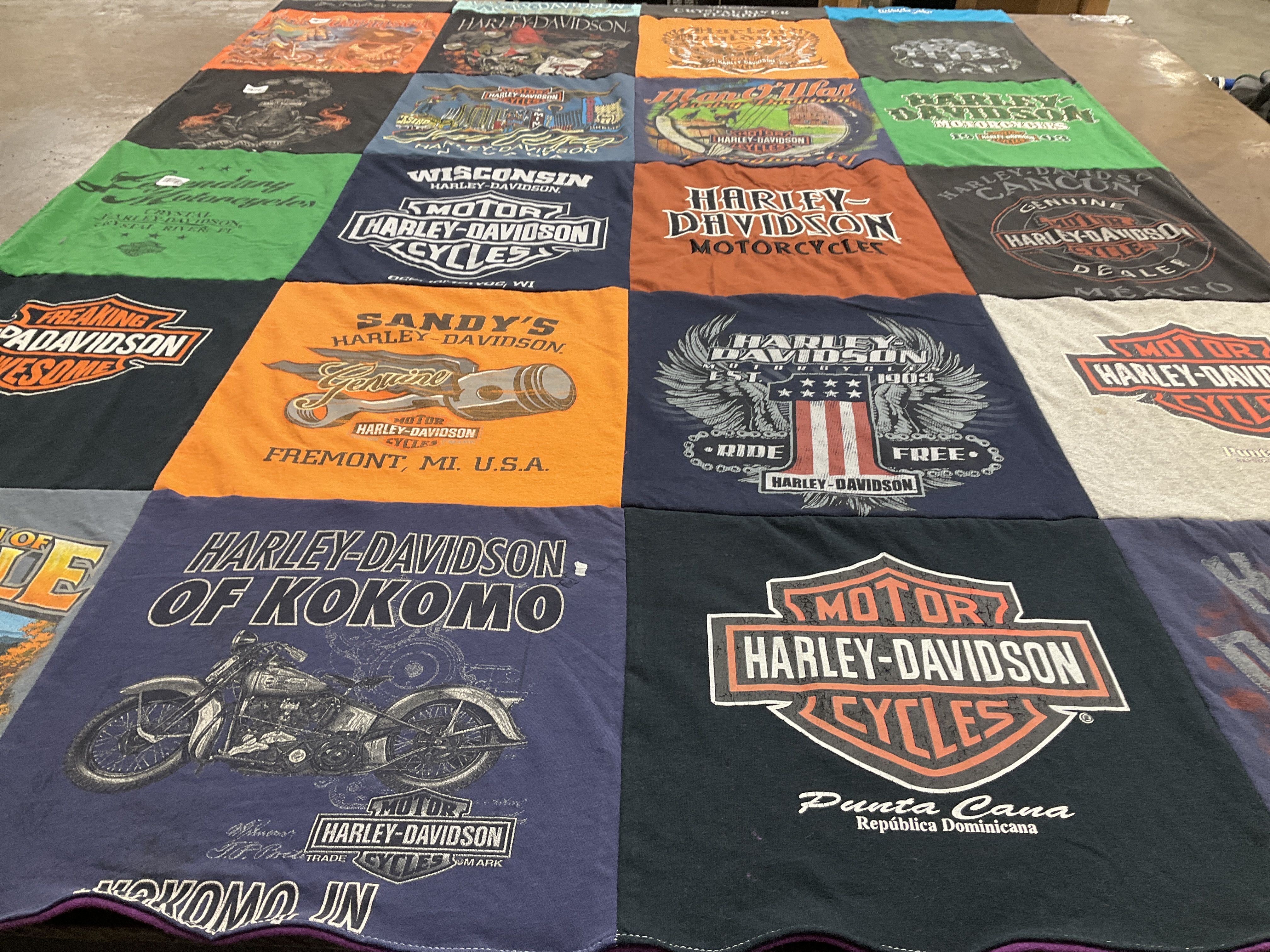 T-shirt quilt with motorcycles, biking themes by Tamara from MI
