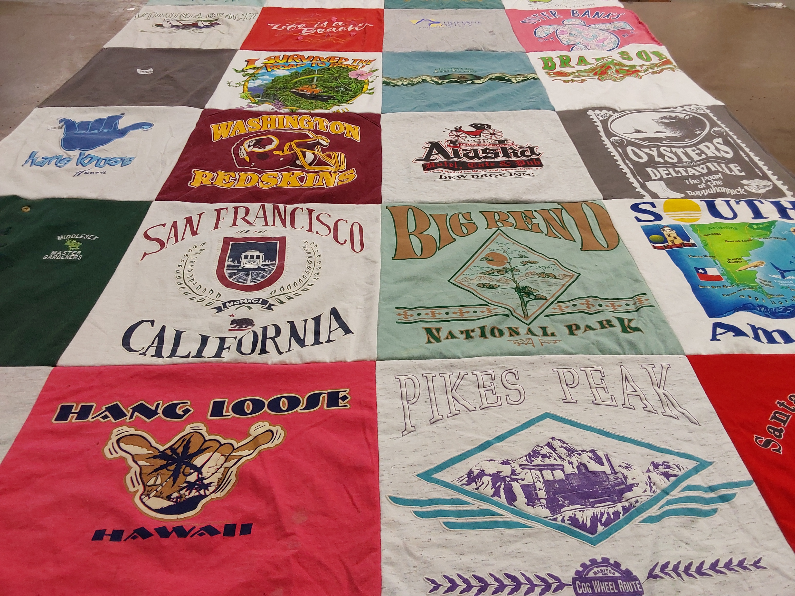 T-shirt quilt with travel, nature themes by Dana from VA