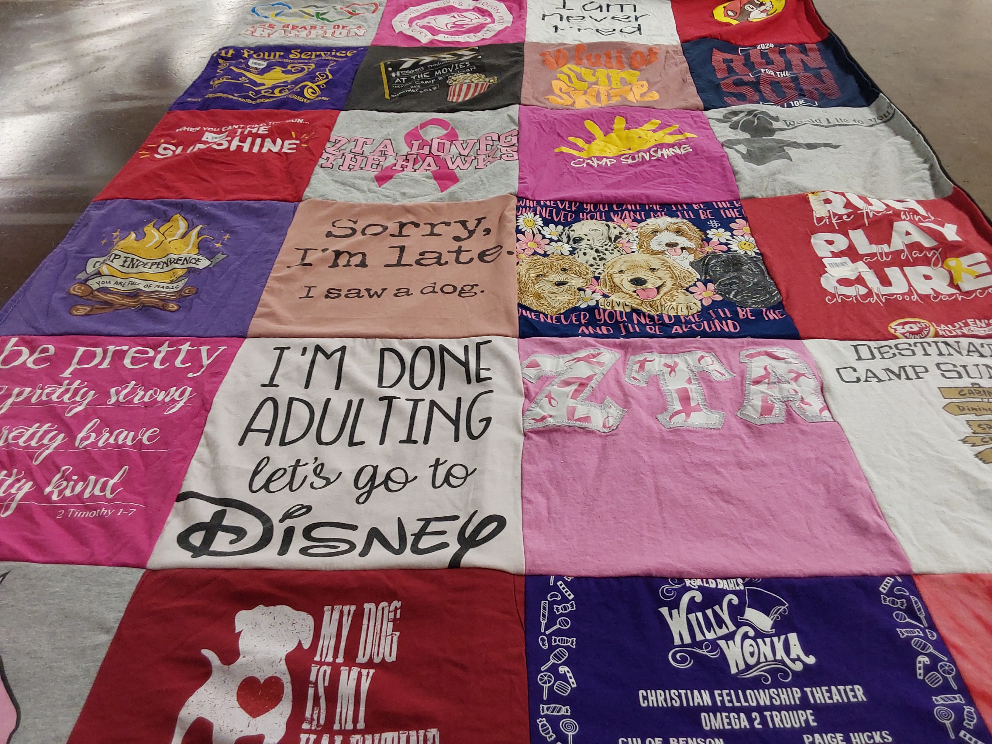 T-shirt quilt with disney, dogs themes by Victoria from GA