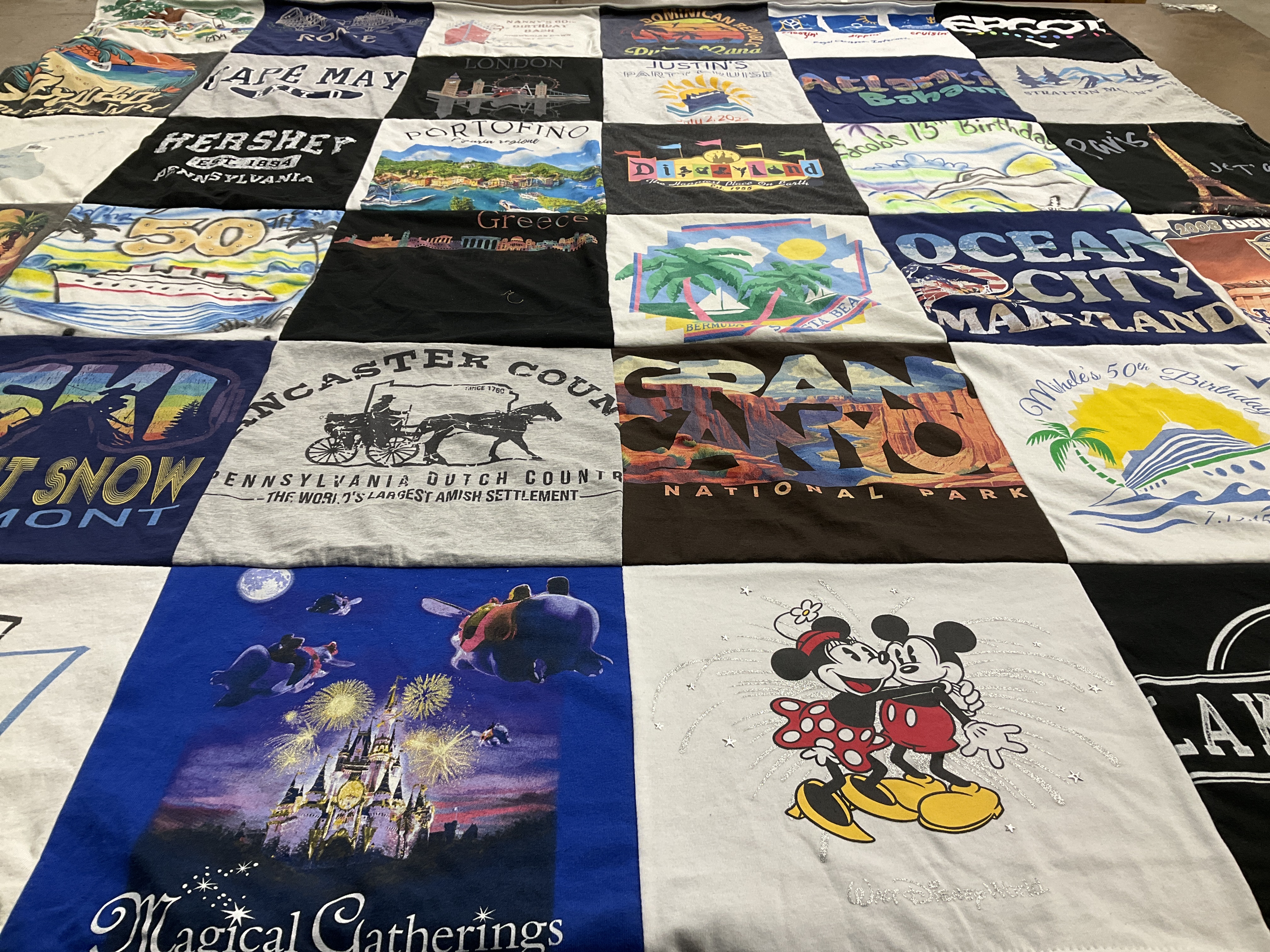 T-shirt quilt with travel, amusement themes by Sue from NJ