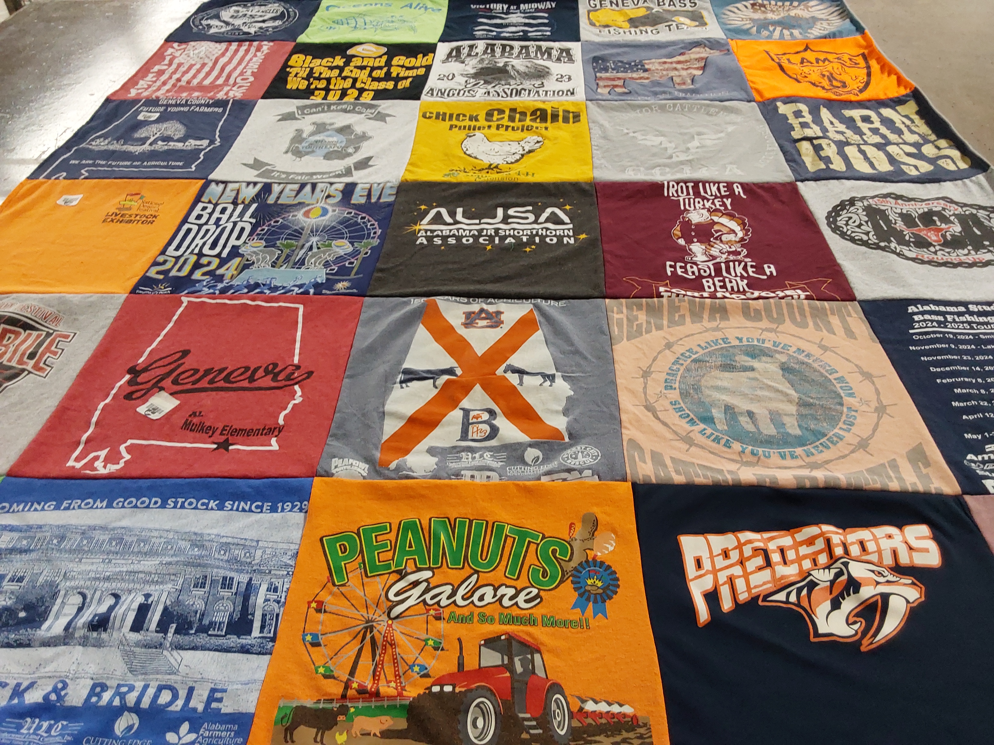 T-shirt quilt featuring auburn university, nashville predators by Nicole from AL
