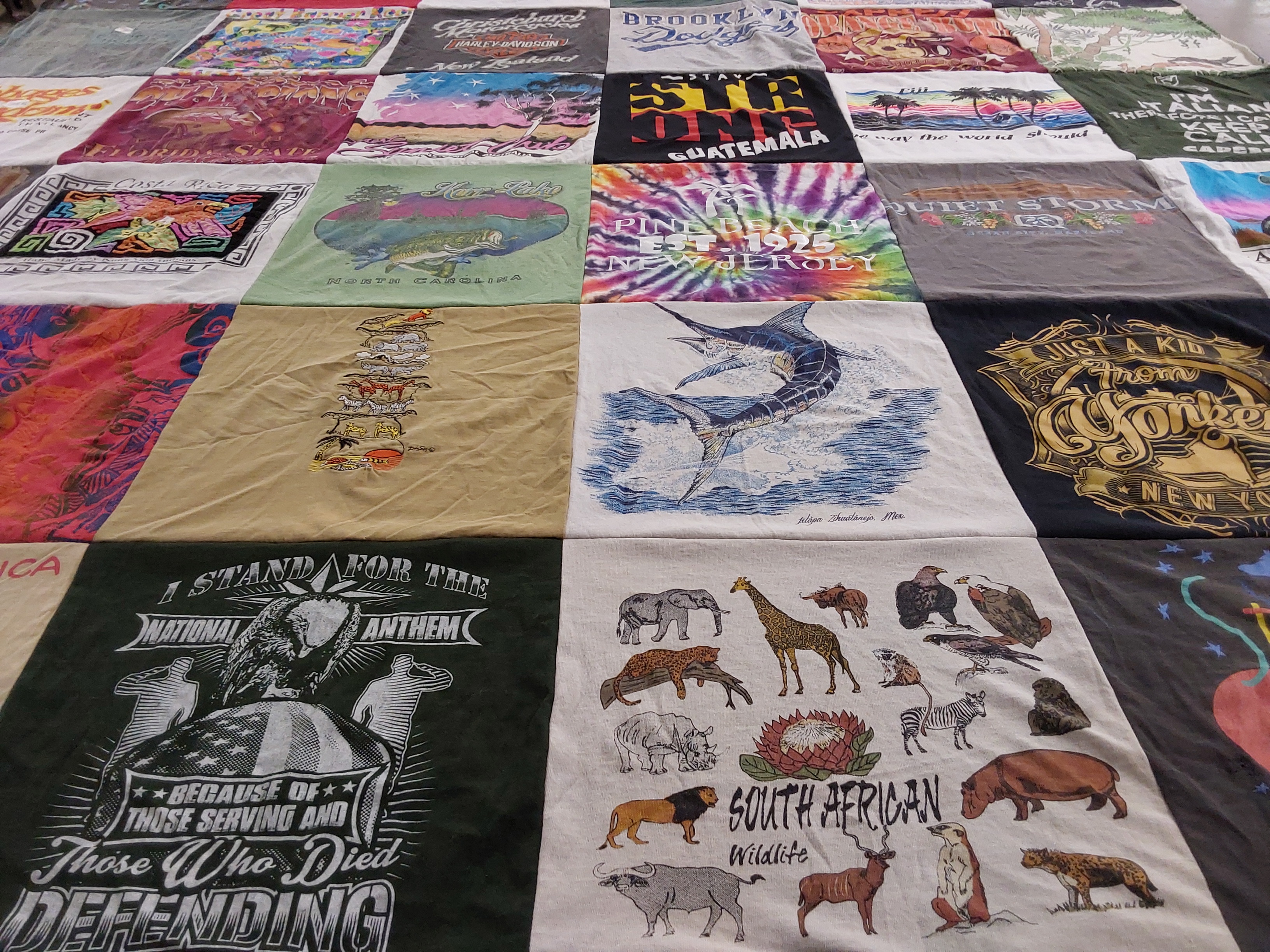 T-shirt quilt with wildlife, travel themes by Rose from NJ