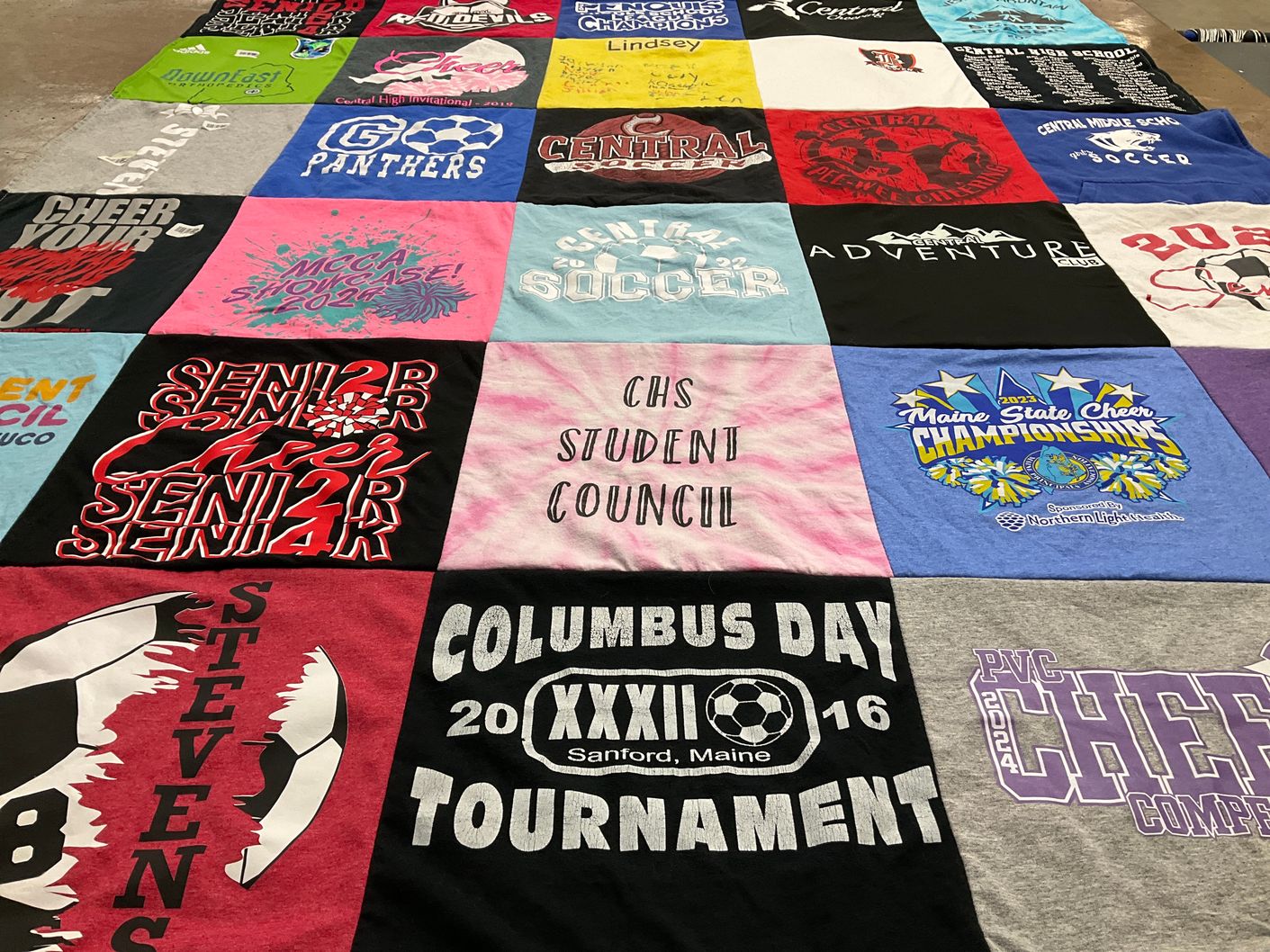 T-shirt quilt featuring panthers by Michele from ME