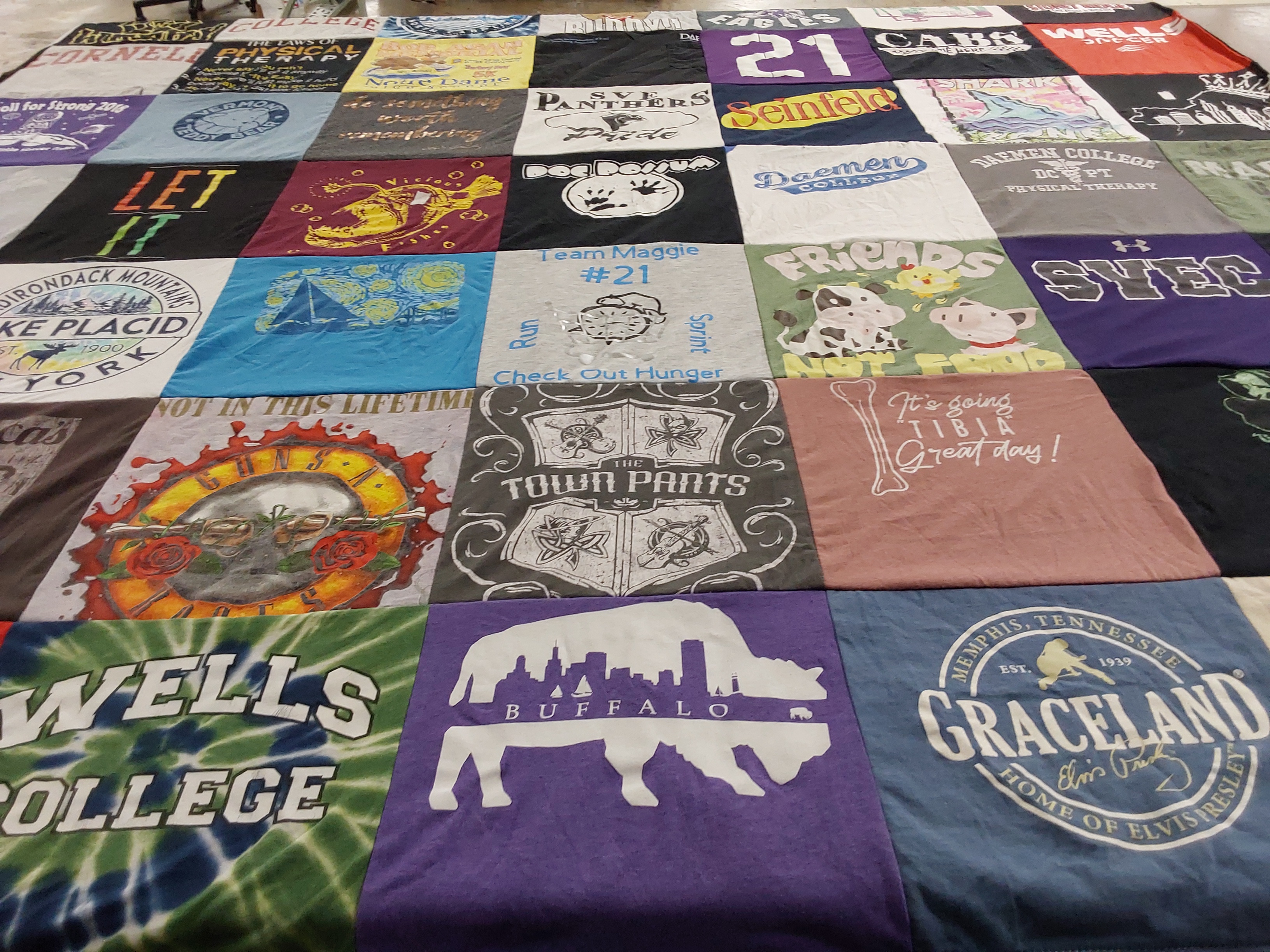 T-shirt quilt from wells college, daemen college by Dianw from NY